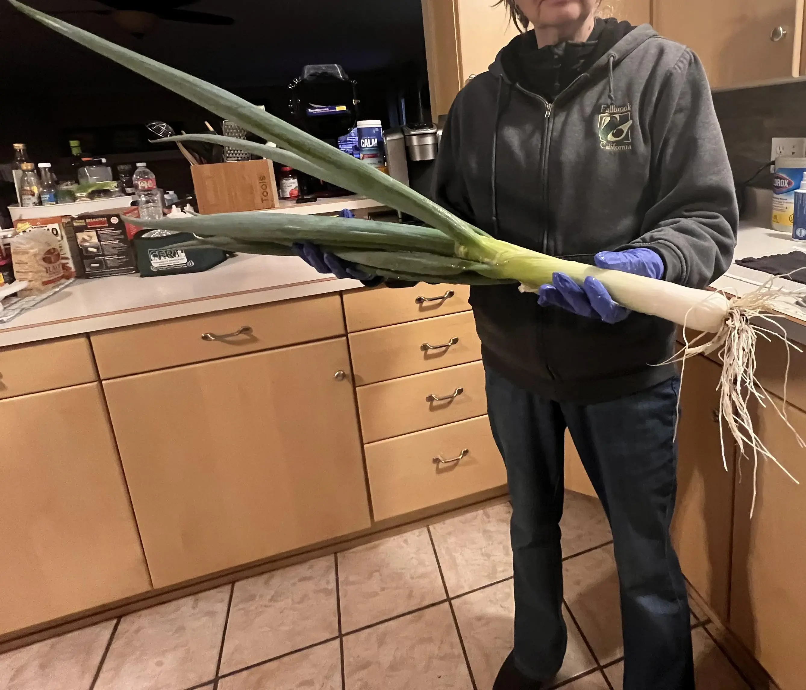 18 Chonky Legends That’ll Make You Gasp 🔥 37 Absolute Units of a Onion, Absolute Units