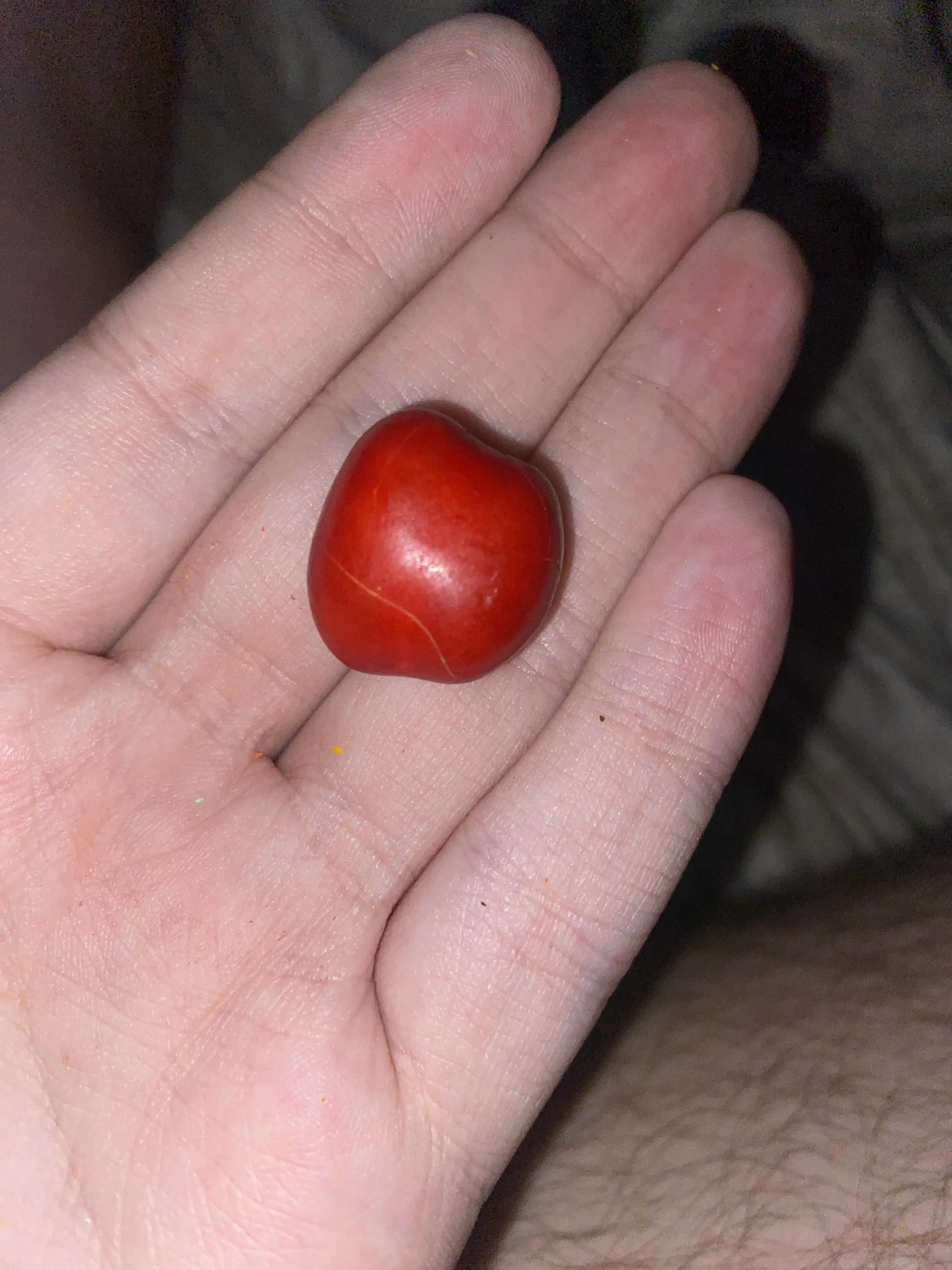 17 Unbelievably Huge Wonders You Must See! đđ 31 Absolute Units of a peanut M&M