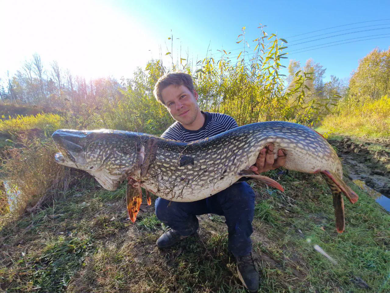 12 Absolute Units You Have to See ✨ 25 Absolute Units of a pike I caught yesterday