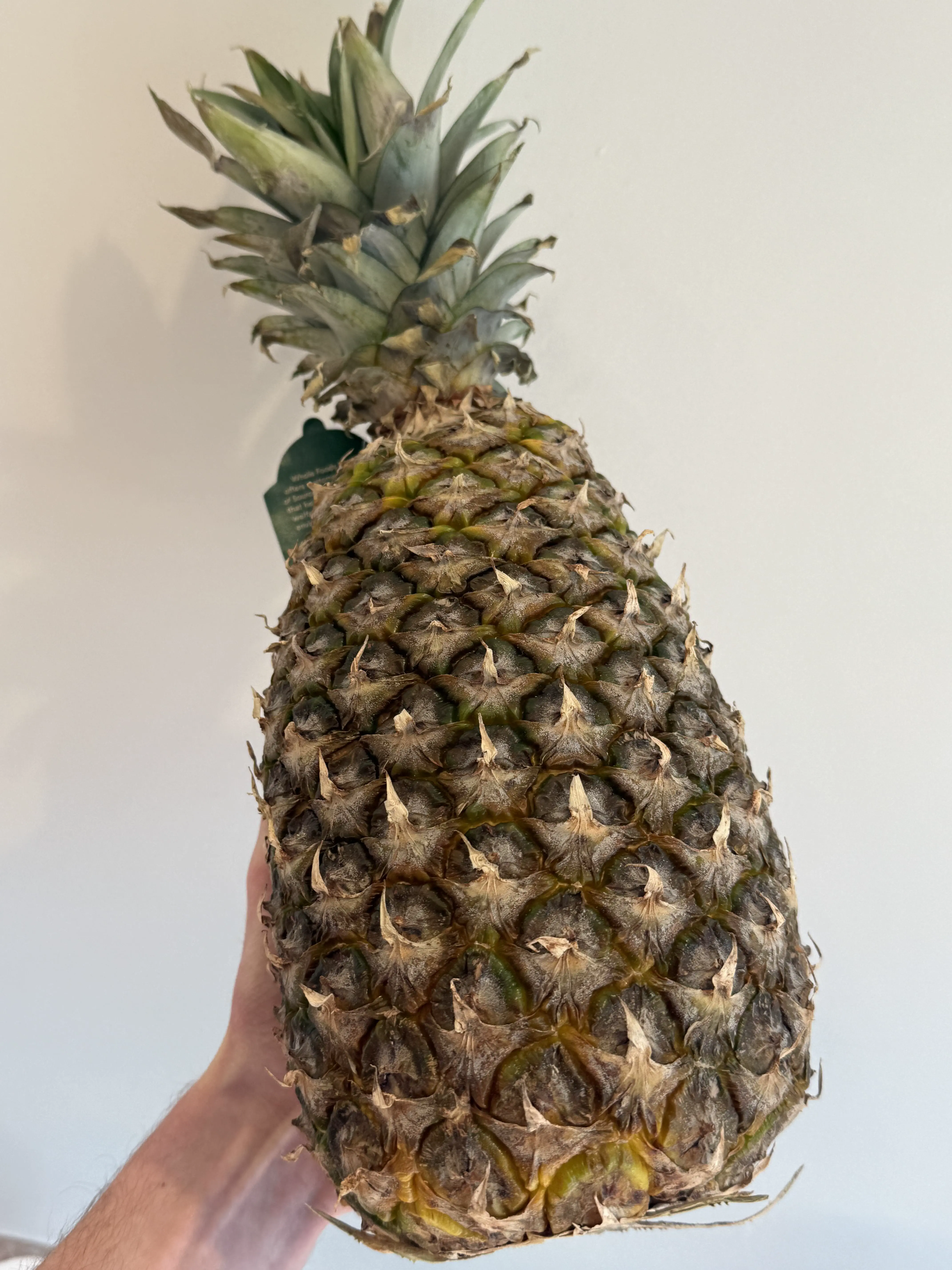 22 Absolute Beasts That Will Leave You in Awe! đŸđ„ 47 Absolute Units of a pineapple