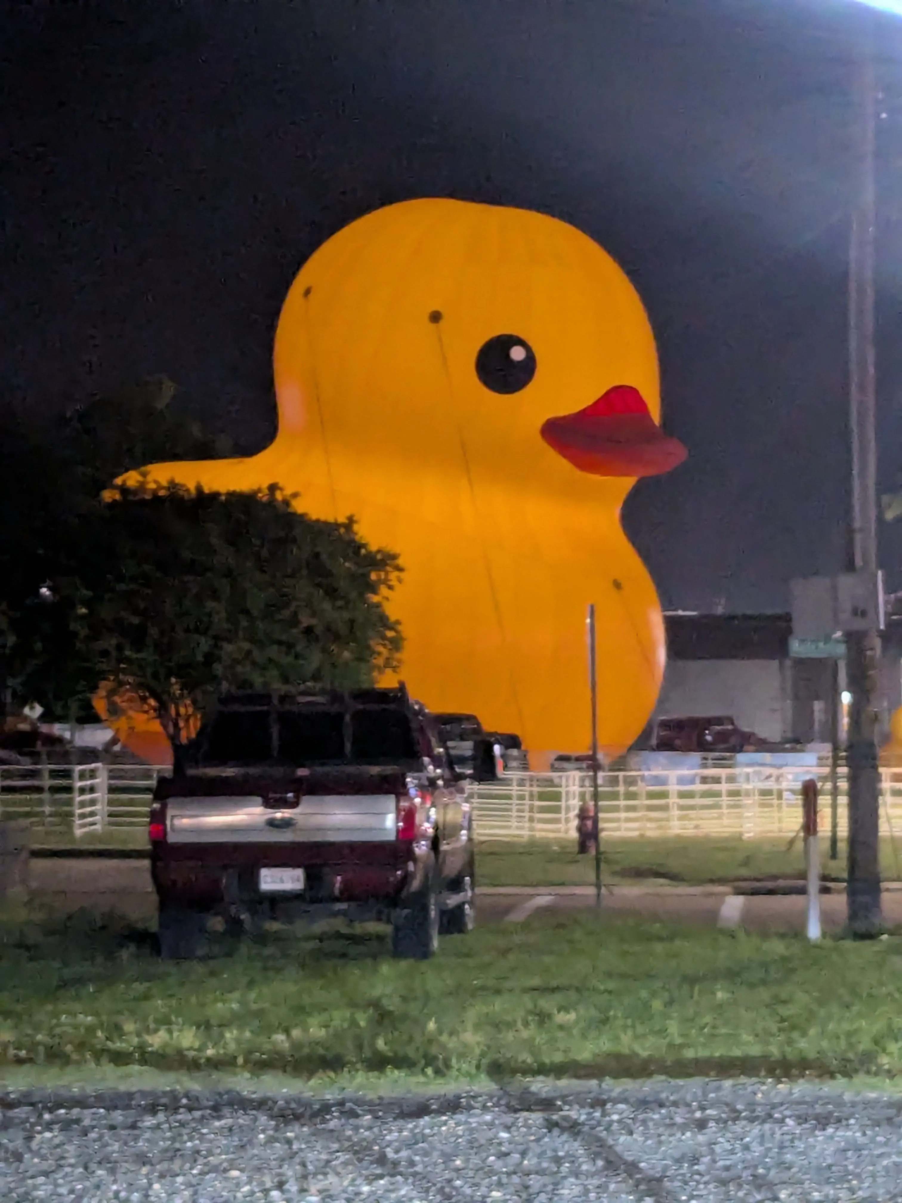 18 Insane Absolute Units That Will Blow Your Mind! đđŸ 34 Absolute Units of a rubber duck.