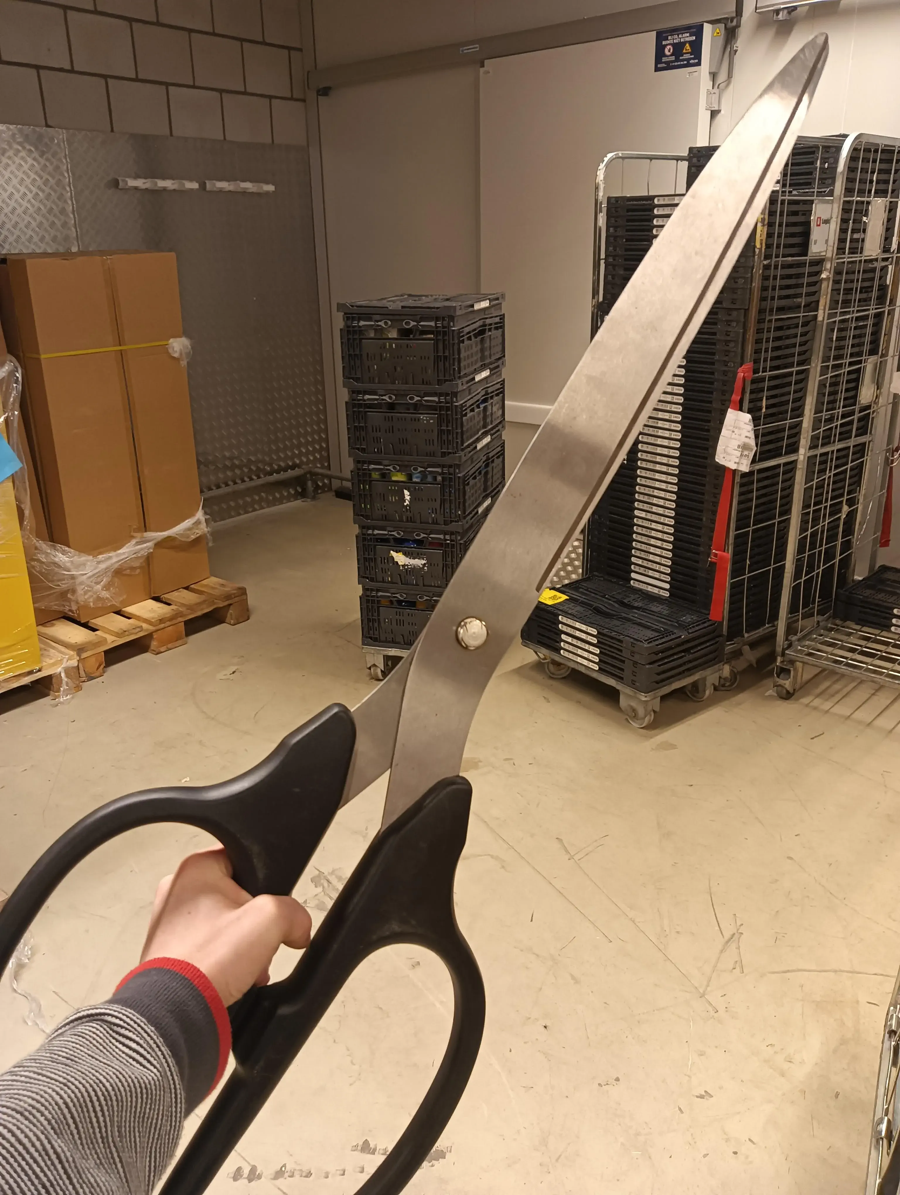 20 Unbelievable Massive Marvels That Will Stun You! đ 41 Absolute Units of a scissors