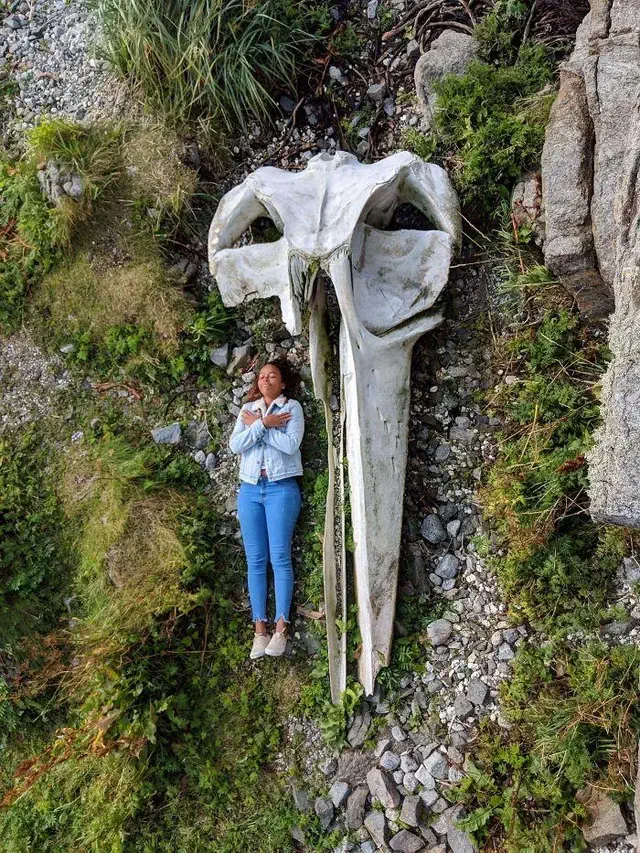 13 Giant Wonders That You Have to Witness! đ⥠16 Absolute Units of a skull