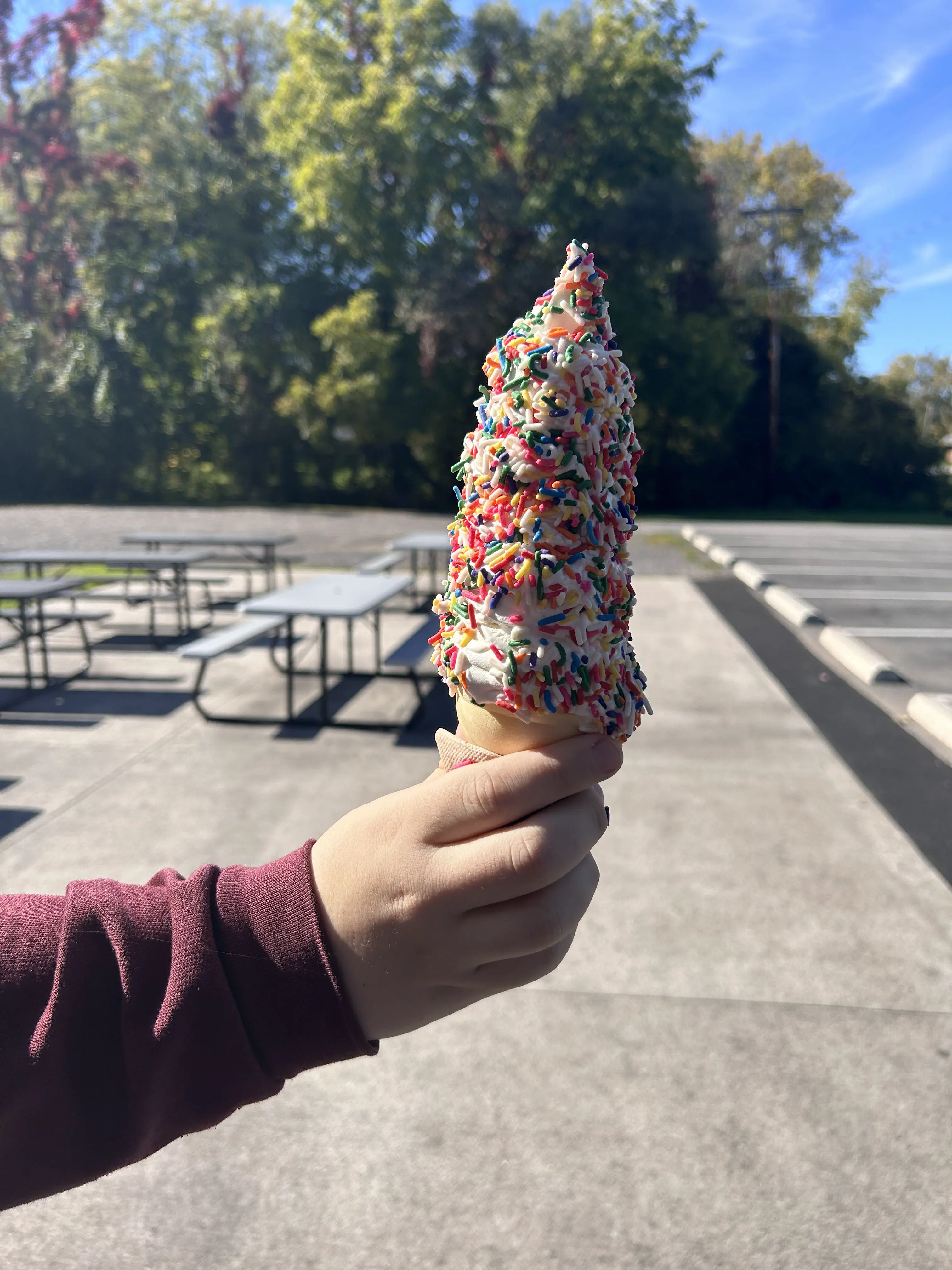 14 Absolute Units You Have to See ✨ 26 Absolute Units of a “small” ice cream at our local shop.
