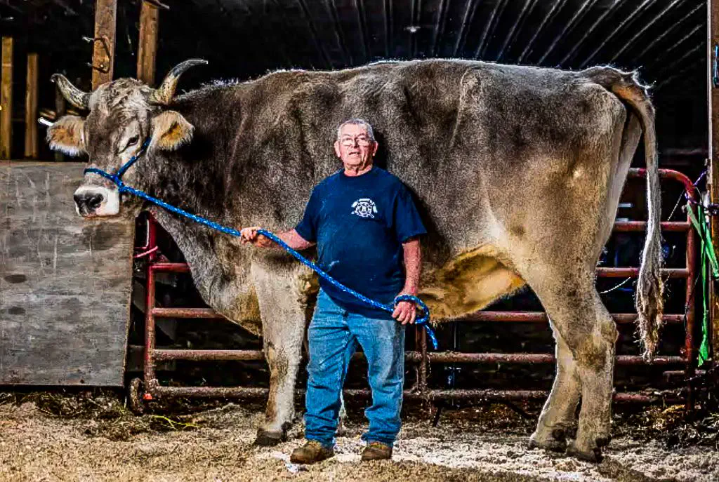 22 Mind-Blowing Absolute Units You Won't Believe Exist! 🦙🤯 42 Absolute Units of a steer