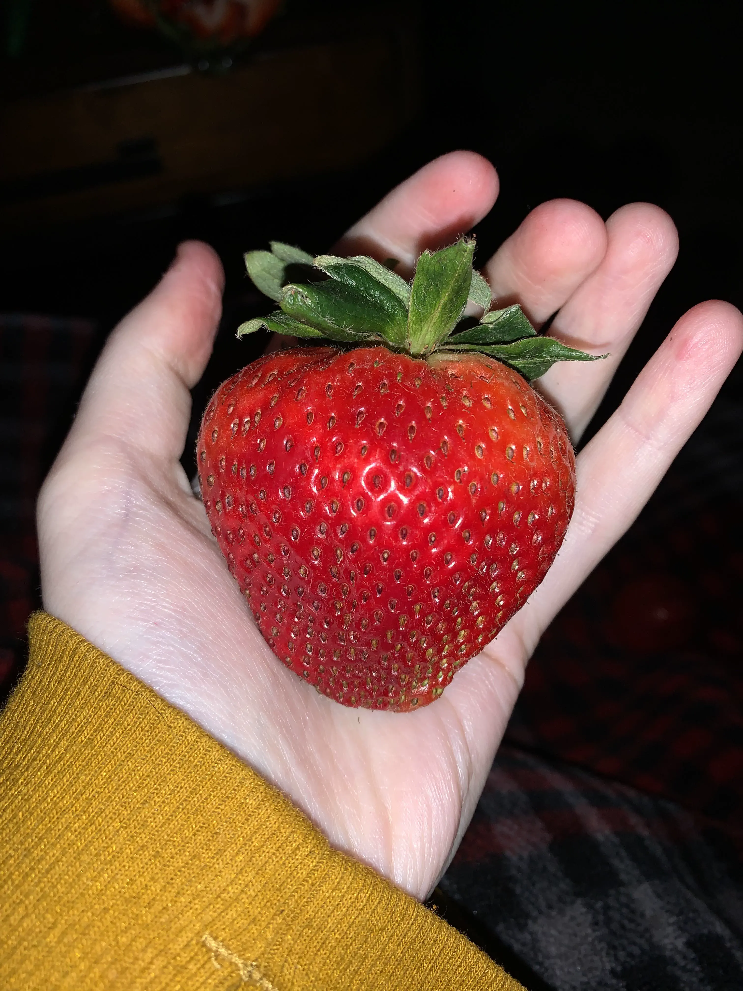 17 Unbelievably Massive Oddities You Must See! đđ 21 Absolute Units of a strawberry