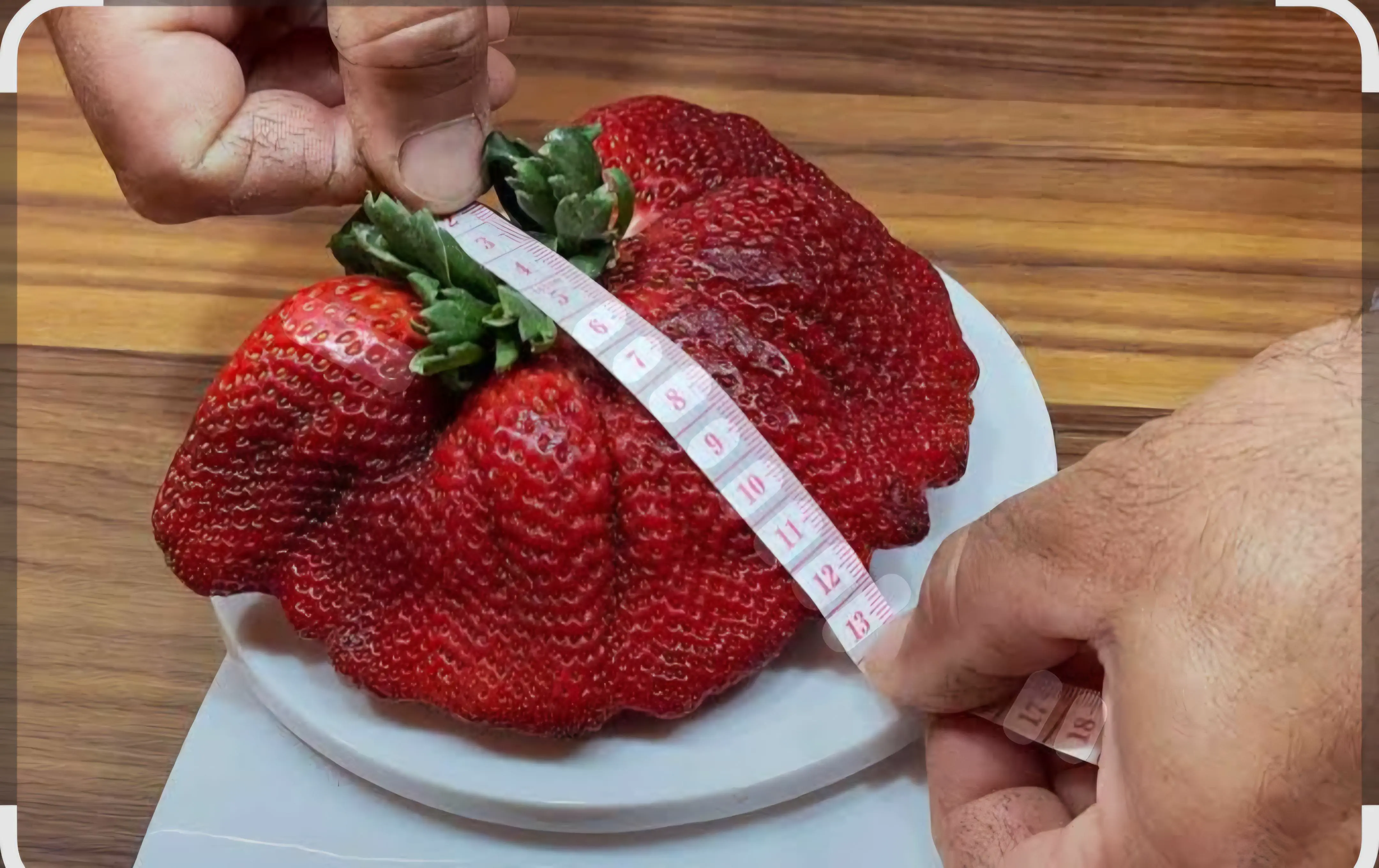 18 Insane Absolute Units That Will Blow Your Mind! đđŸ 29 Absolute Units of a strawberry