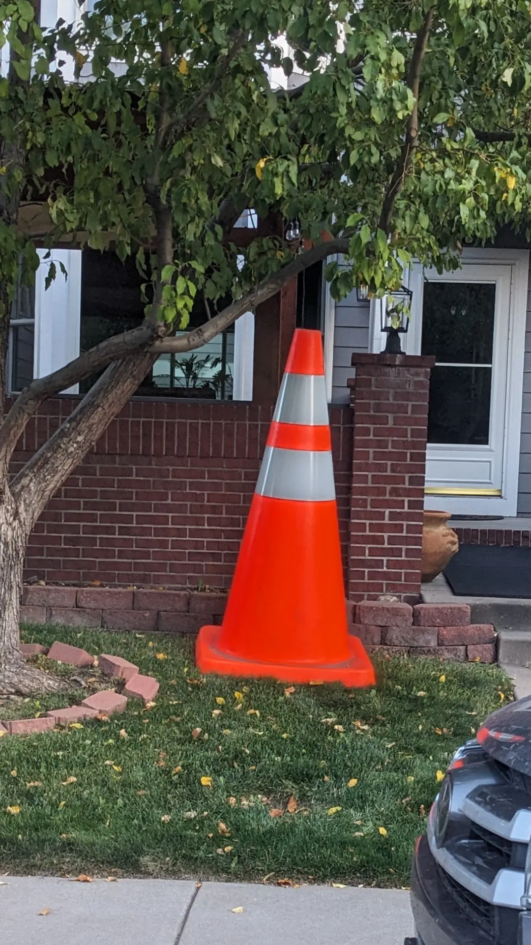 19 Mammoth Marvels That Are Too Big to Ignore! đ 24 Absolute Units of a Traffic Cone