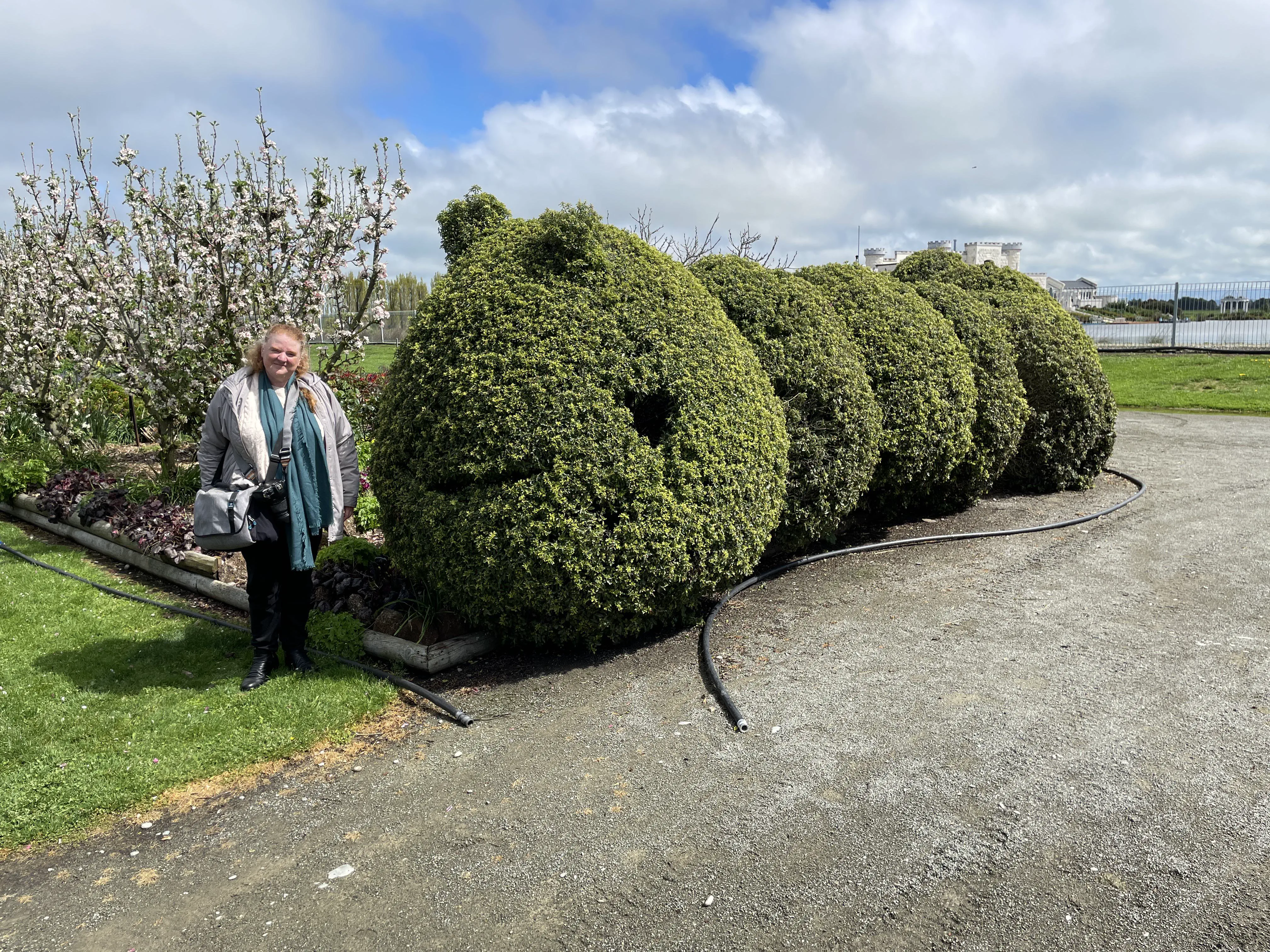 12 Absolute Units You Have to See ✨ 20 Absolute Units of a Very Hungry (topiary) Caterpillar