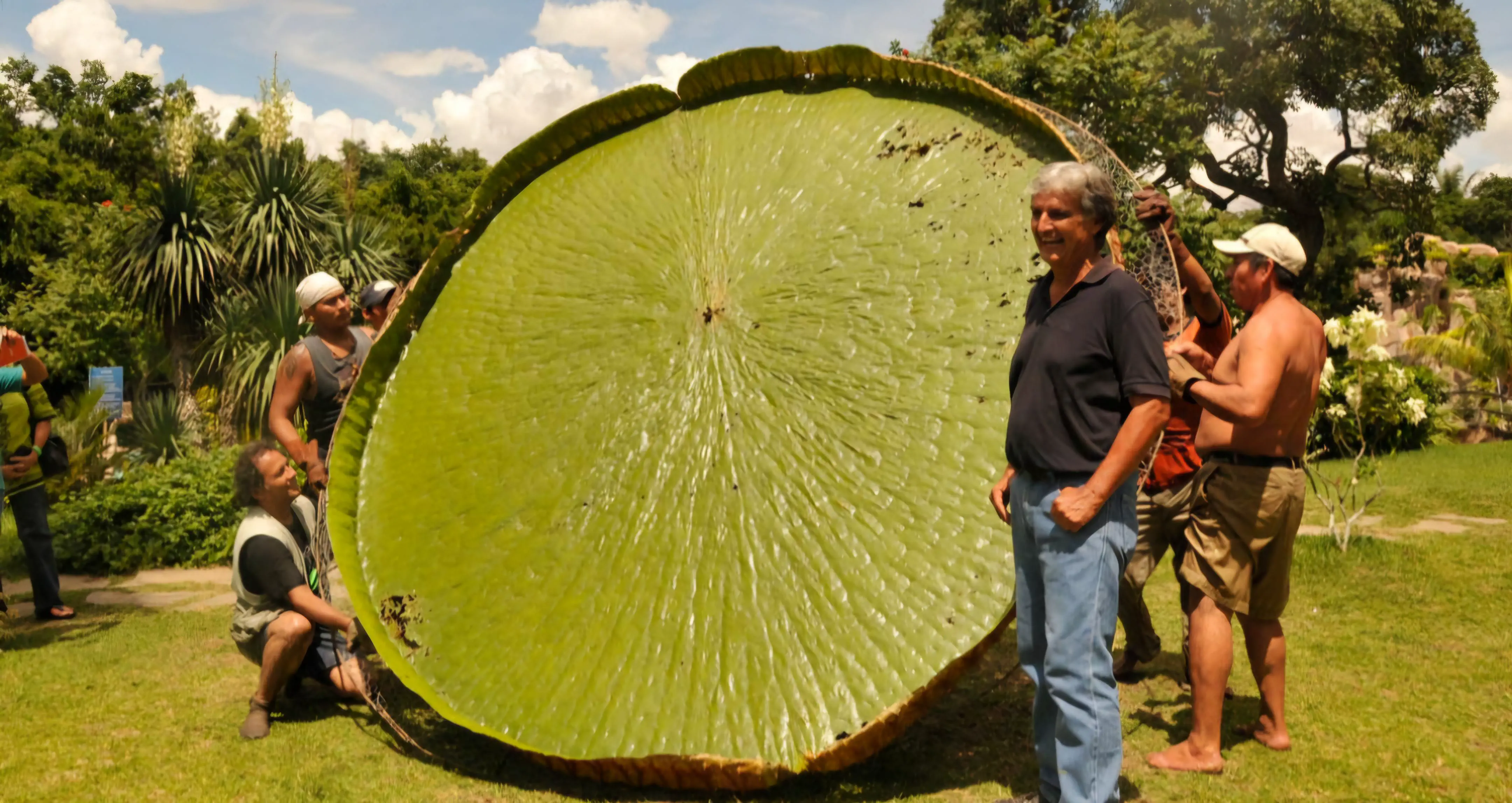 22 Massive Beasts That Will Leave You Stunned! đđ„ 38 Absolute Units of a water lily leaf