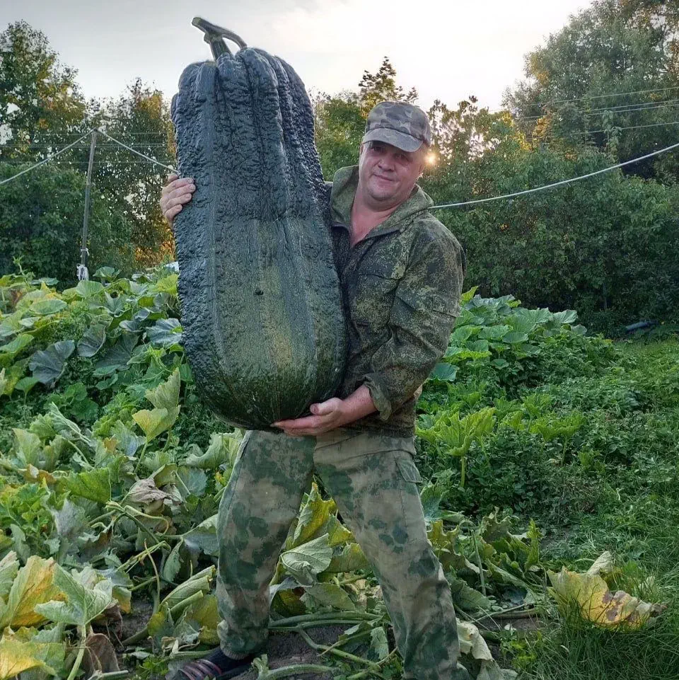 8 Massive Creatures That Are Simply Unbelievable! 🐾🌟 17 Absolute Units of a zucchini