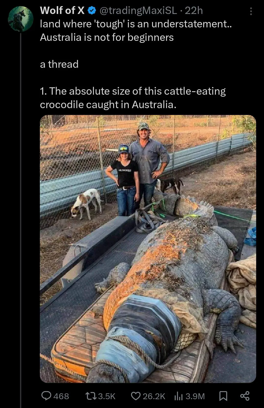 13 Giant Wonders That You Have to Witness! đ⥠26 Absolute Units of an Australian crocodile