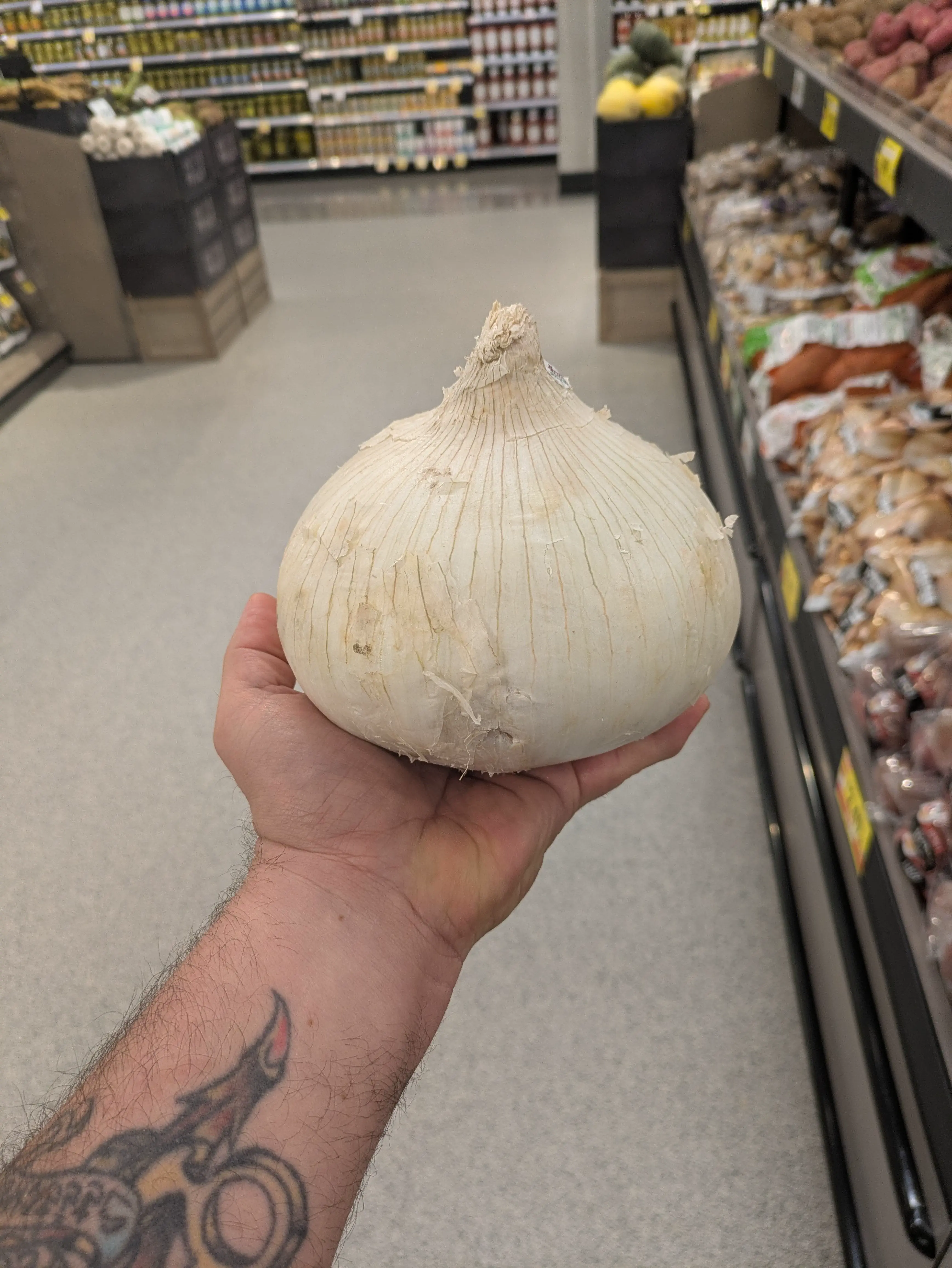 18 Mind-Blowing Absolute Units You Must See! đđ 34 Absolute Units of an onion