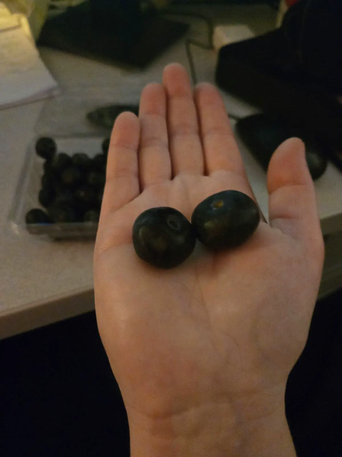 Absolute Units of blueberries 
