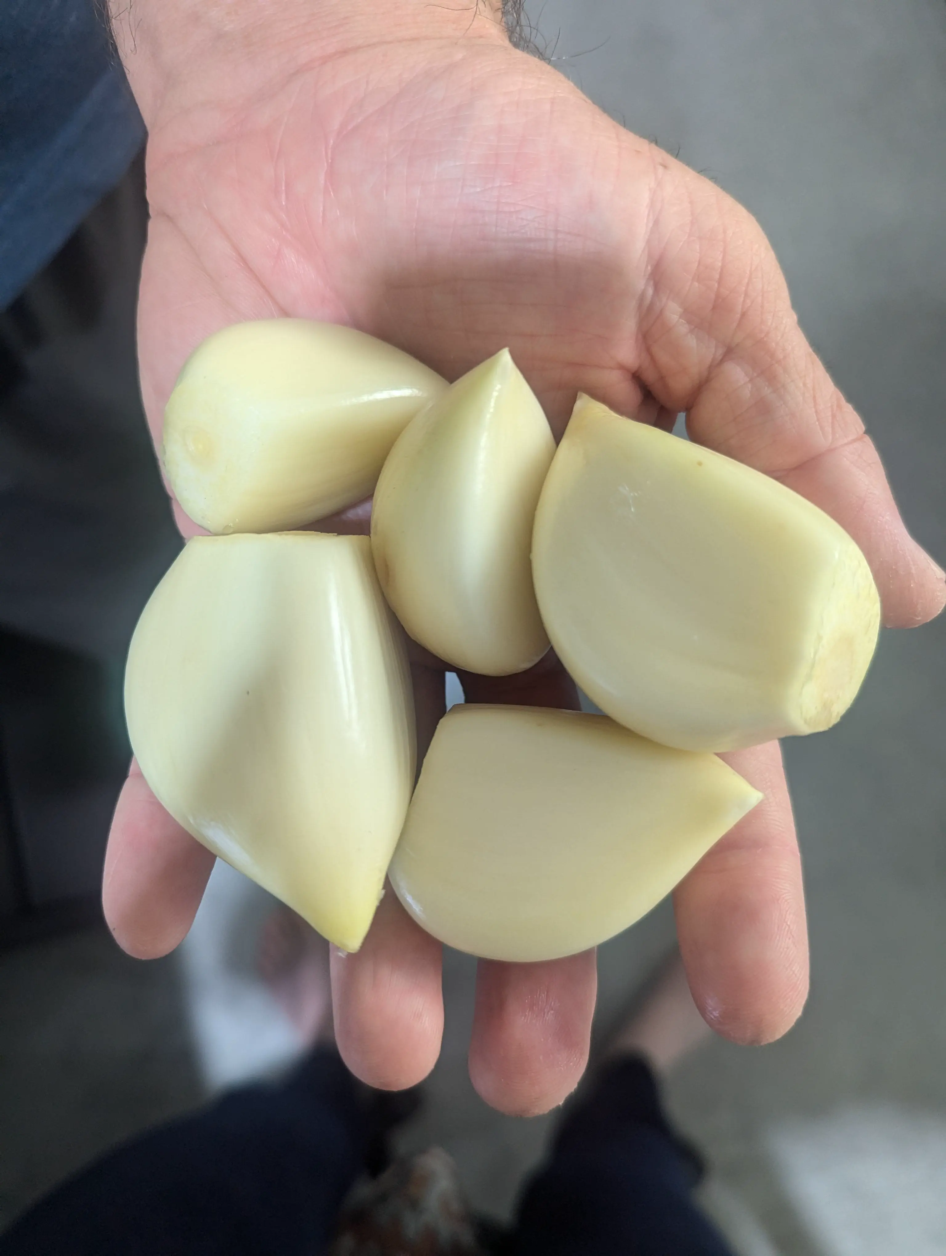 12 Absolute Units You Have to See ✨ 22 Absolute Units of garlic
