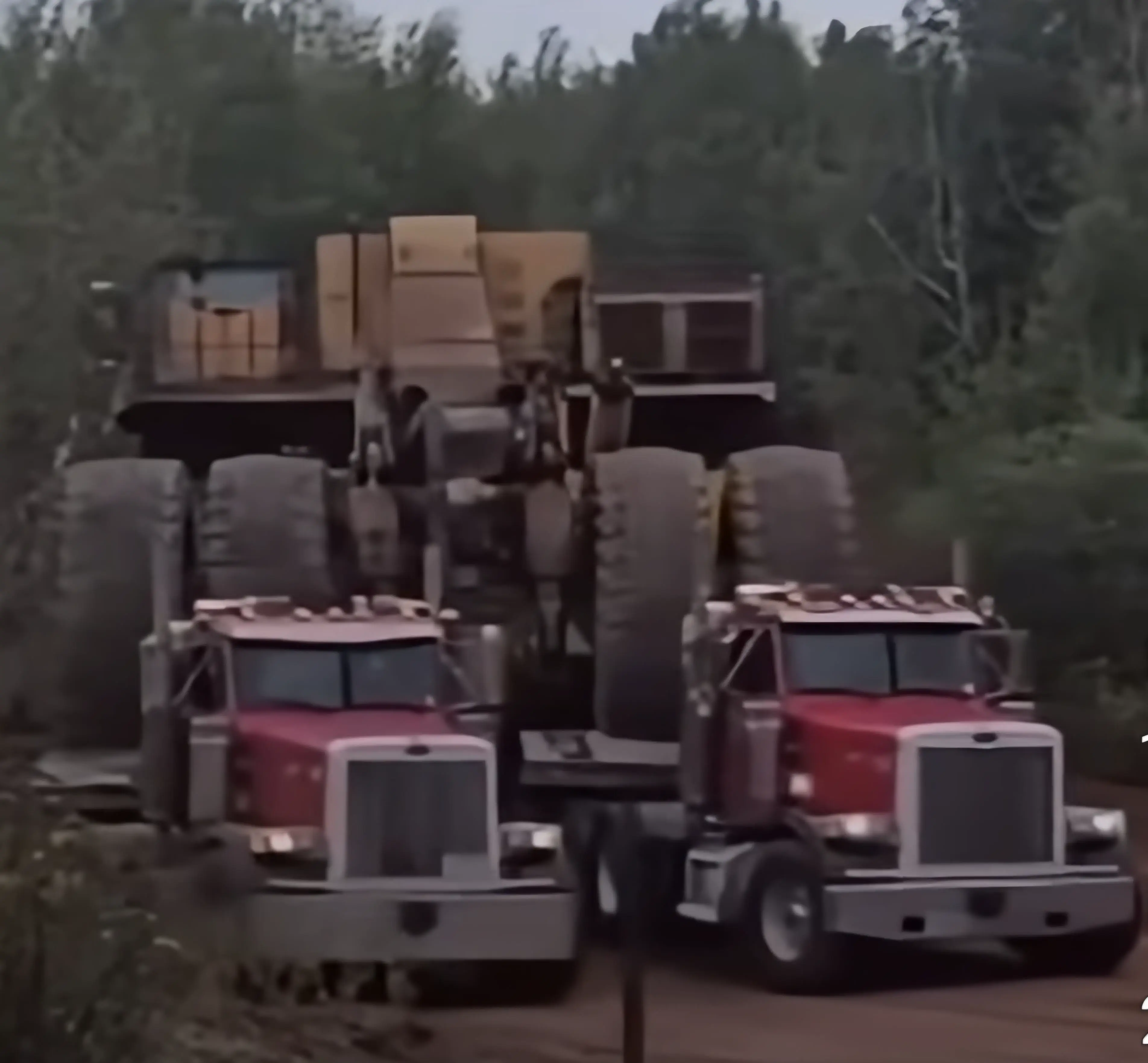 18 Mind-Blowing Absolute Units You Must See! đđ 25 Absolute Units of something so large it needs two semis to move it