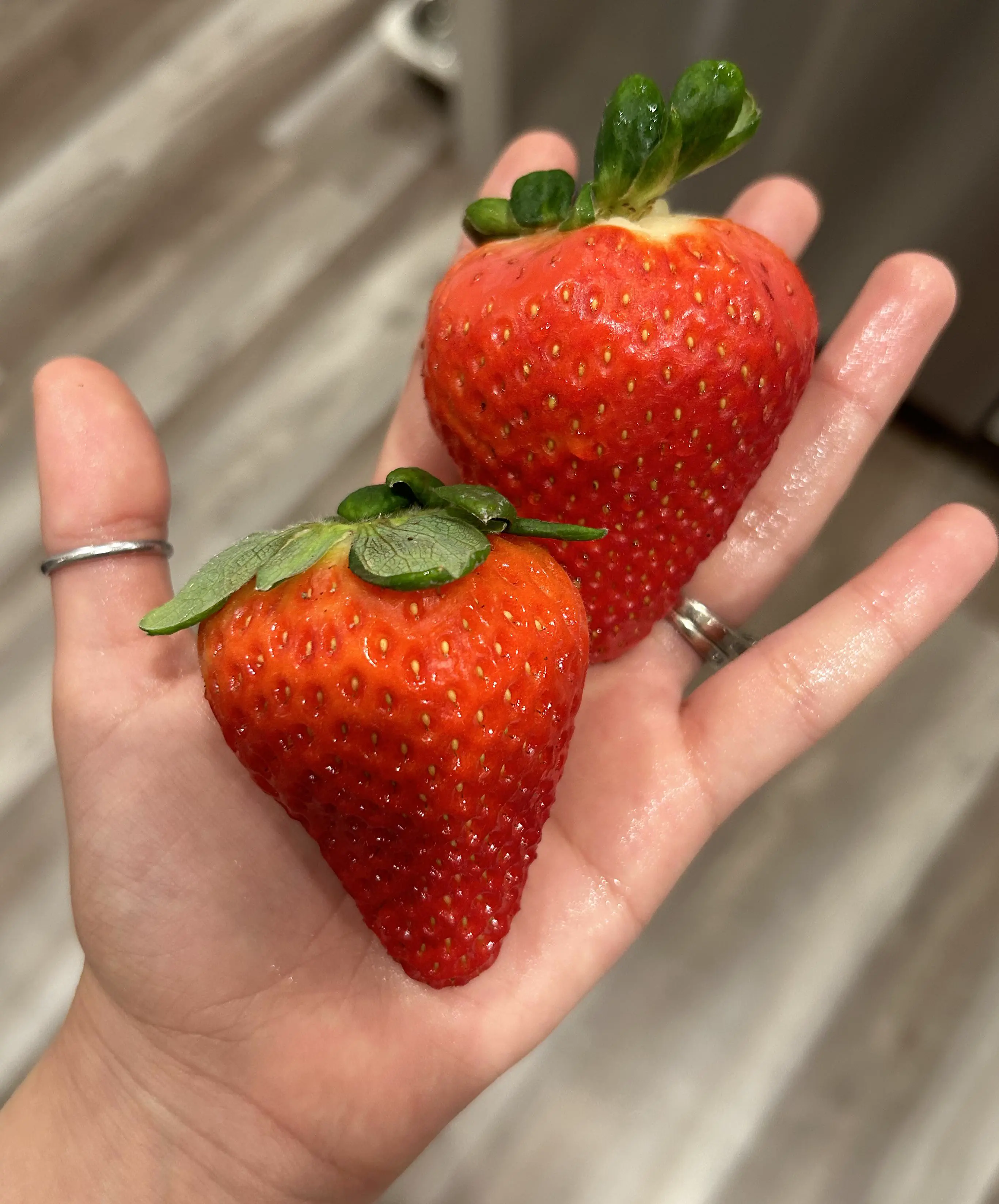 17 Wild Oddities That Redefine 'Massive'! đ 20 Absolute Units of strawberries