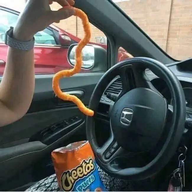 18 Mind-Blowing Absolute Units You Must See! đđ 26 Absolute Units of this cheeto