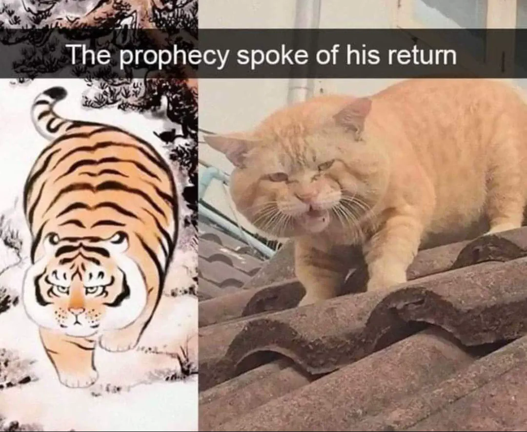 12 Giant Beasts that Redefine Size Expectations! 🦁 29 Absolute Units I saw this in my facebook and thought it belonged here