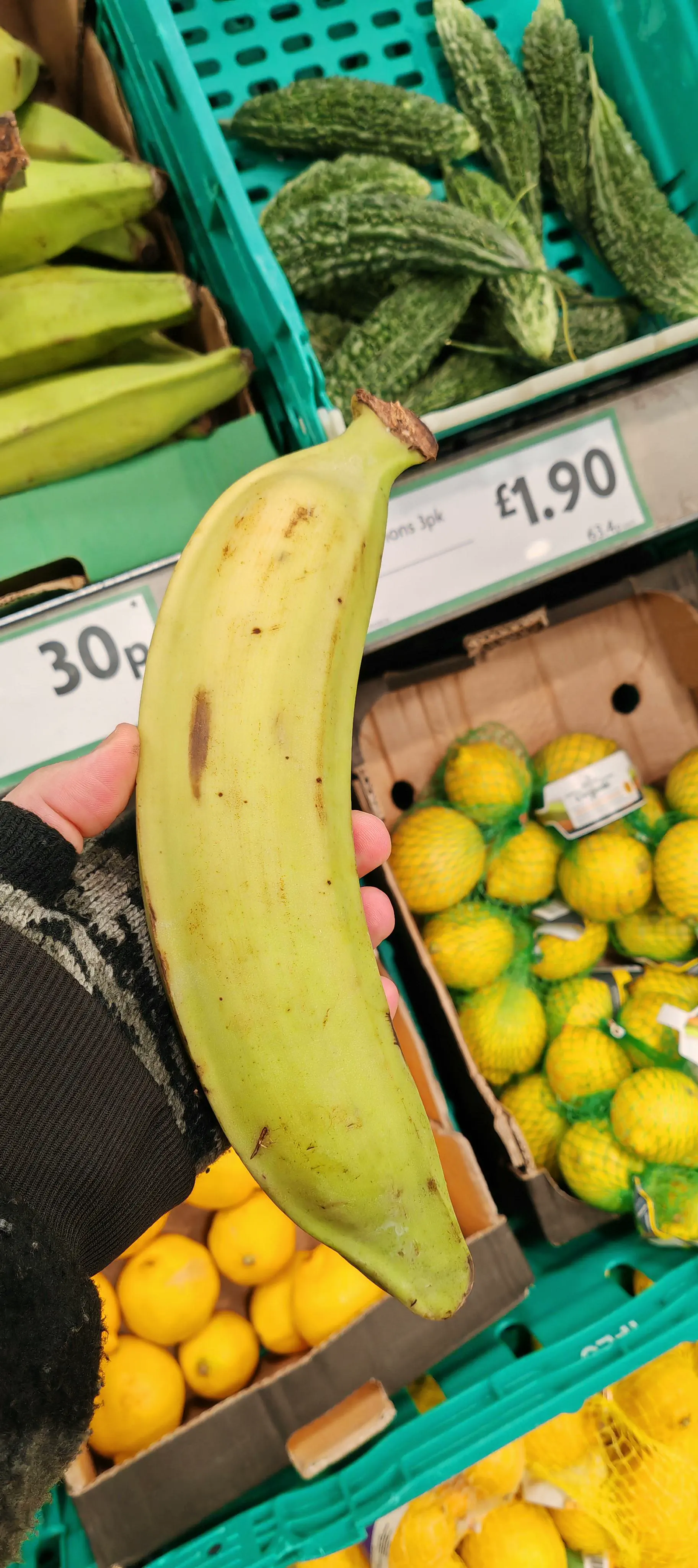 23 Remarkable Giants That Will Change Your Idea of 'Big' đ 43 Absolute Units of a banana