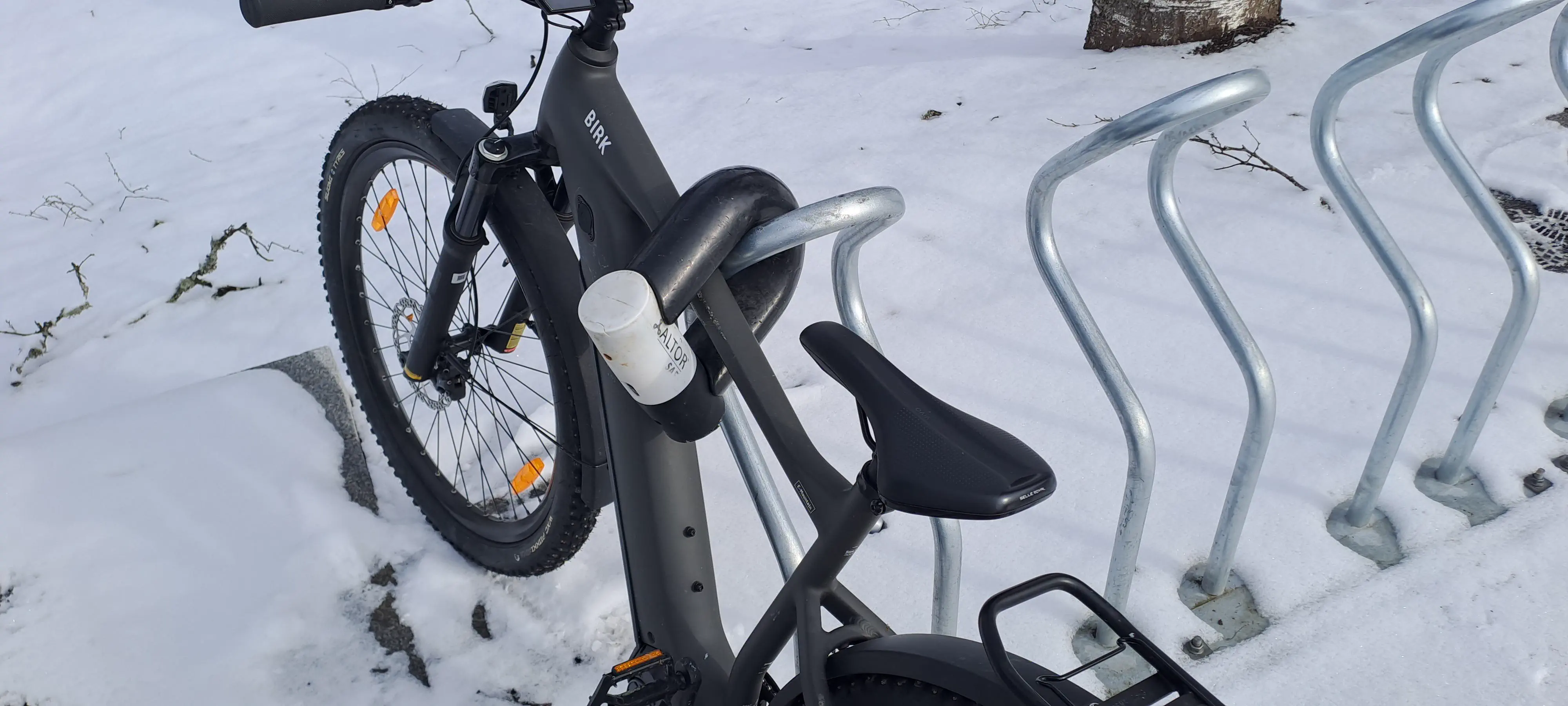 23 Remarkable Giants That Will Change Your Idea of 'Big' đ 36 Absolute Units of a bike lock