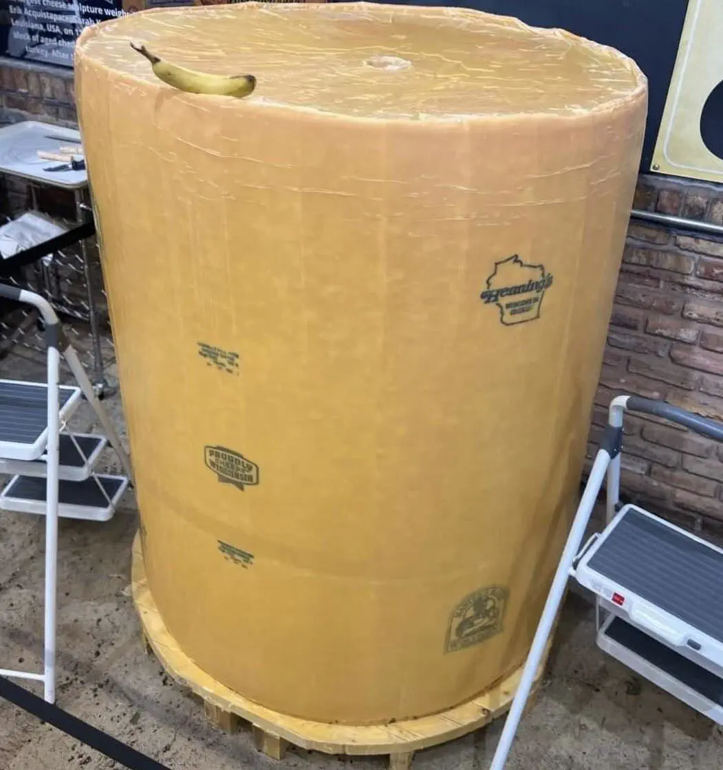 16 Hilariously Massive Oddities That Defy Belief! 🐾🤯 20 Absolute Units of a block of cheese.