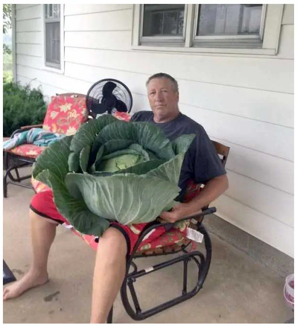 19 Monstrous Marvels That Challenge Your Perception of Size! 🦙🔍 29 Absolute Units of a cabbage. What to cook with that?