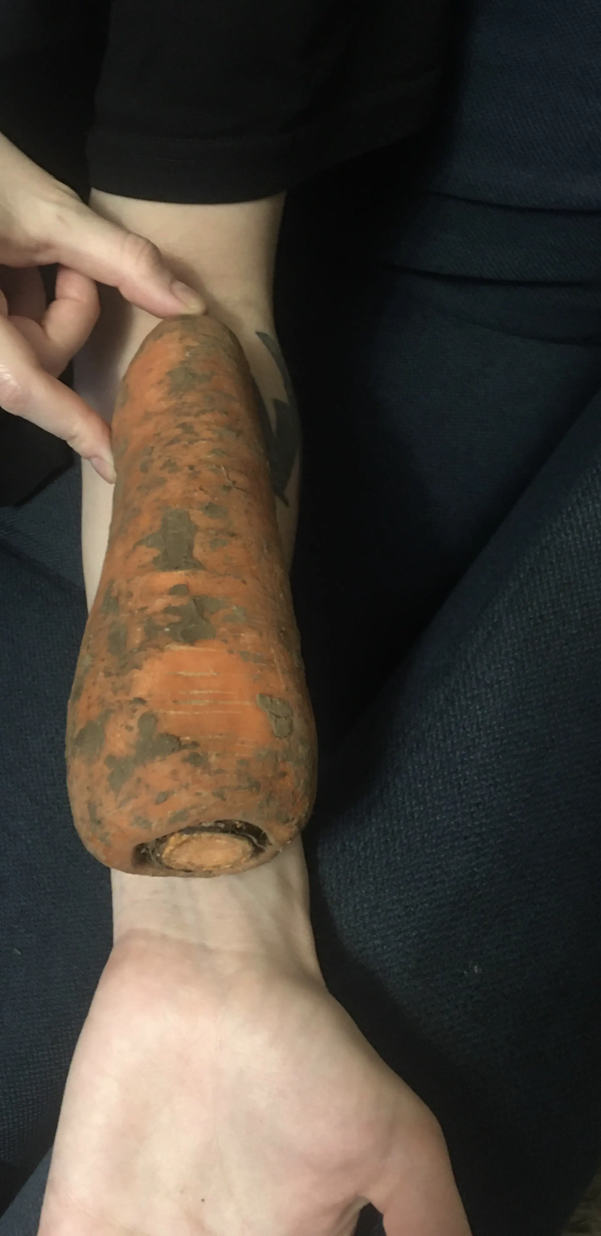 14 Unbelievably Large Oddities You Simply Must See! 🤯🐾 25 Absolute Units of a carrot