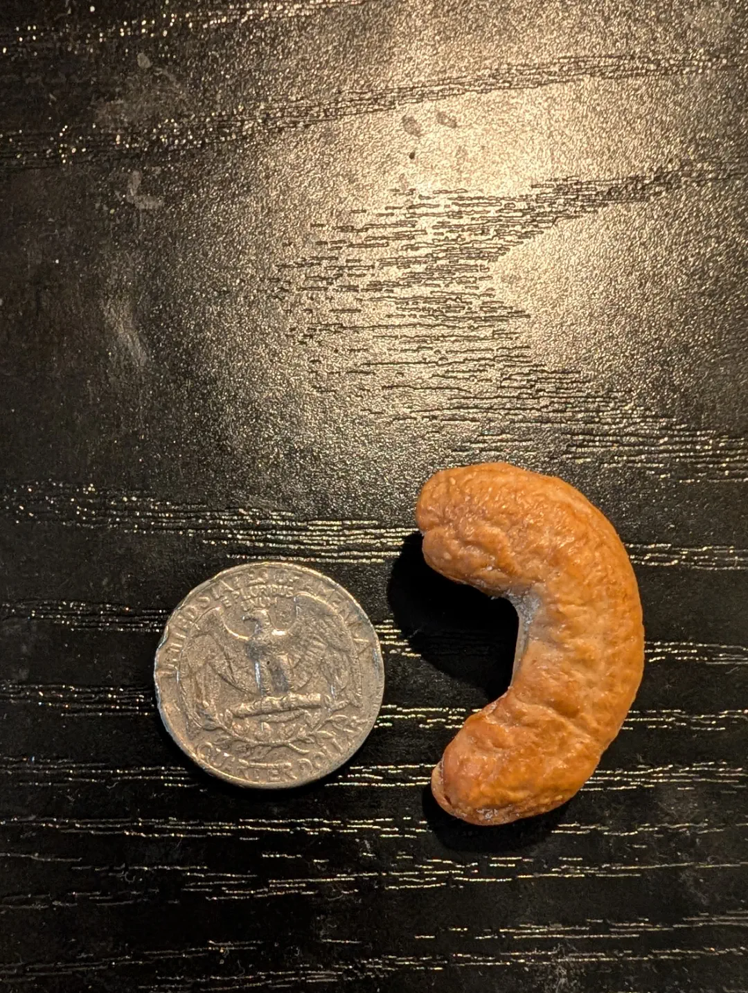 8 Crazy Massive Oddities That Prove Size Matters! đđ 11 Absolute Units of a cashew