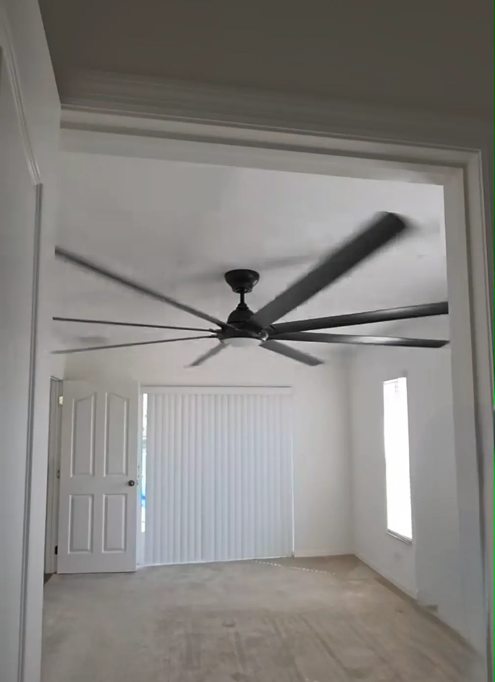 16 Hilariously Massive Oddities That Defy Belief! 🐾🤯 27 Absolute Units of a ceiling fan.