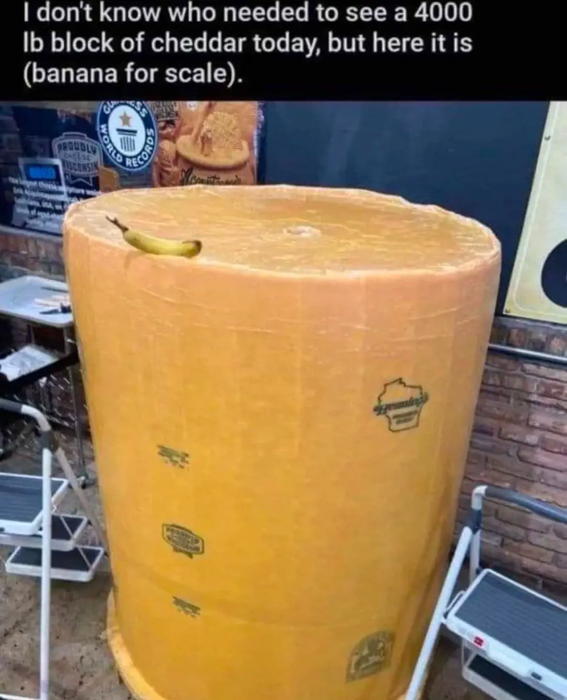 17 Remarkable Behemoths That Will Change How You See Size! 🦁 30 Absolute Units of a CHEESE