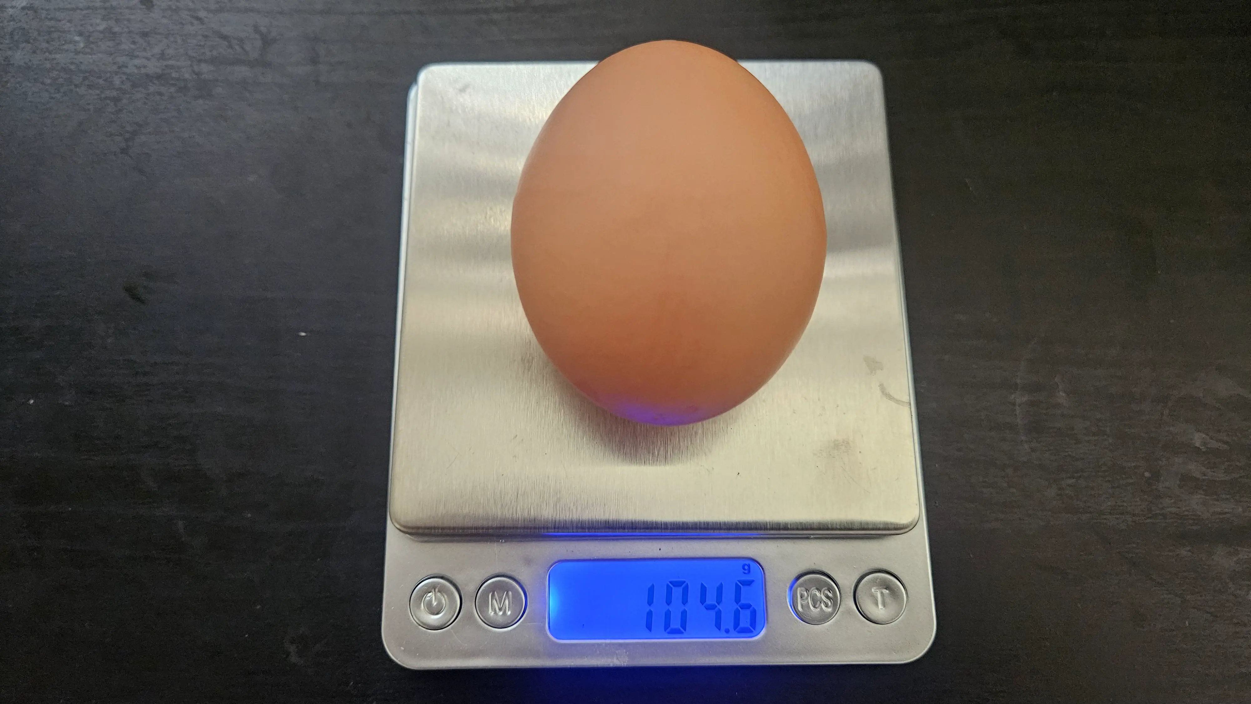 23 Outrageously Large Wonders You Must See! đđ 45 Absolute Units of a chooks egg.