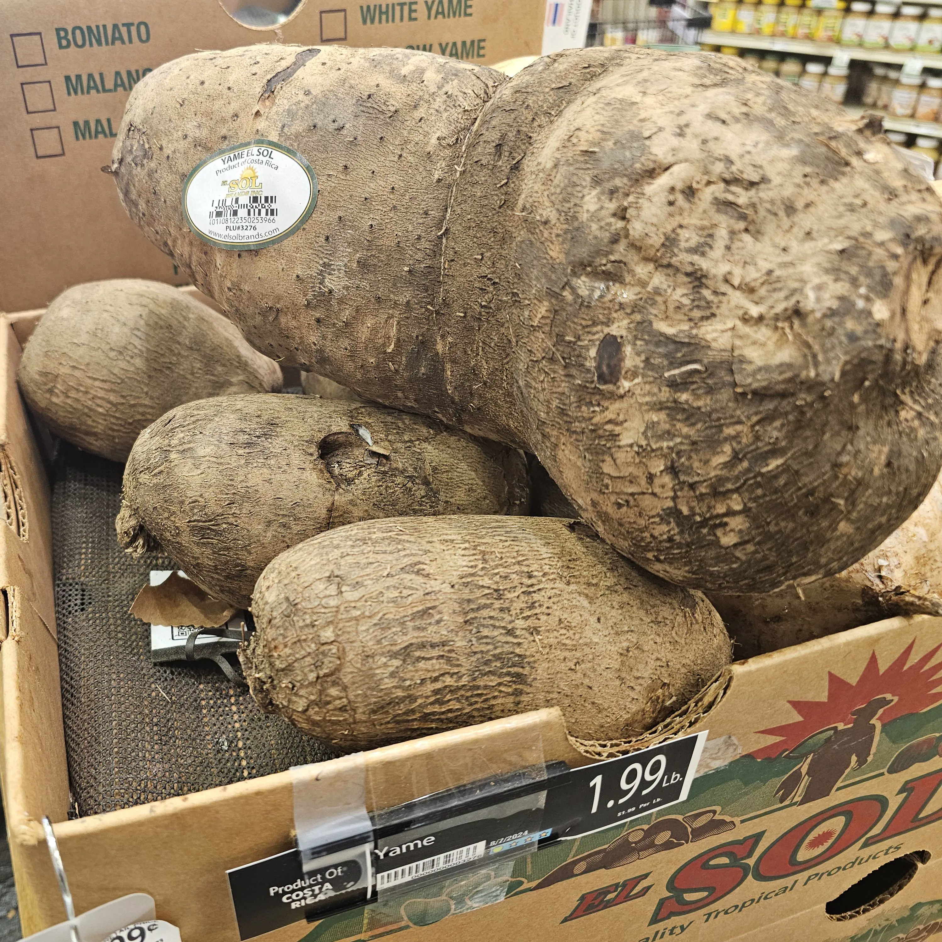 23 Outrageously Large Wonders You Must See! đđ 28 Absolute Units of a Costa Rican yame