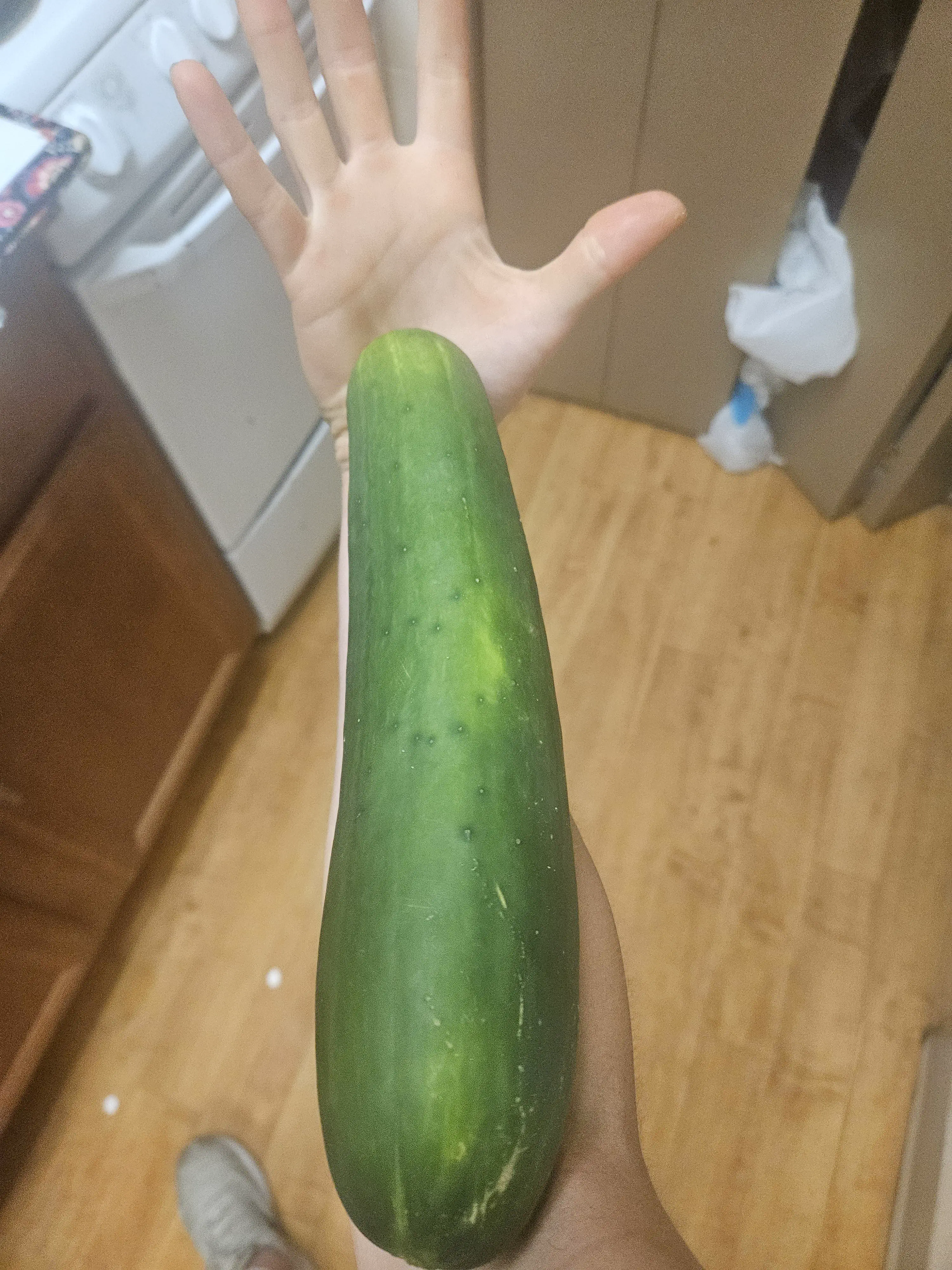 13 Mind-Blowing Absolute Units You Won't Believe Exist! đ€Ż 20 Absolute Units of a cucumber.