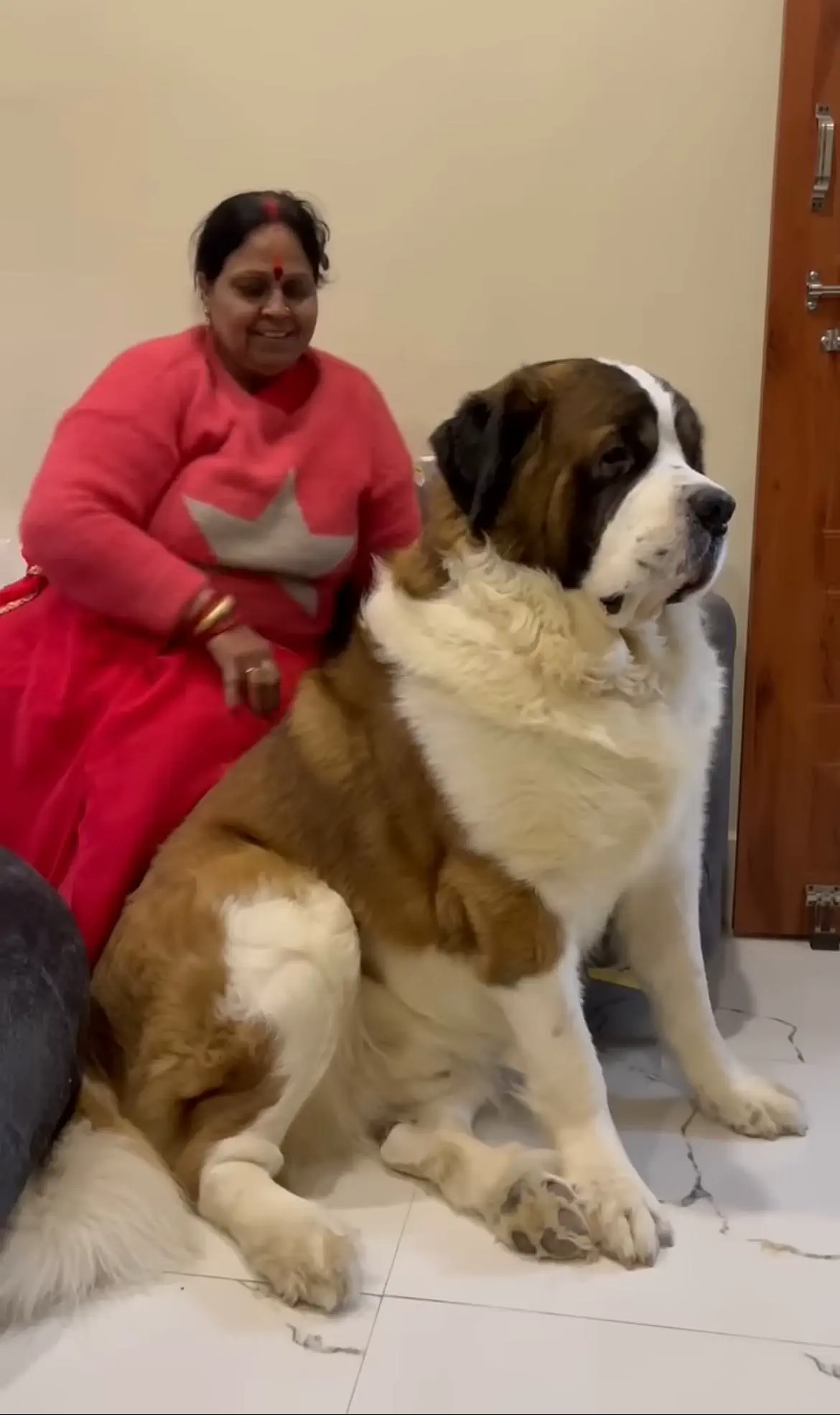 23 Remarkable Giants That Will Change Your Idea of 'Big' đ 38 Absolute Units of a dog