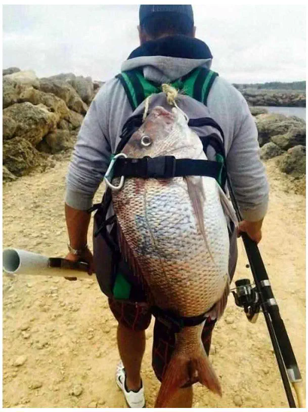 8 Crazy Massive Oddities That Prove Size Matters! đđ 15 Absolute Units of a fish