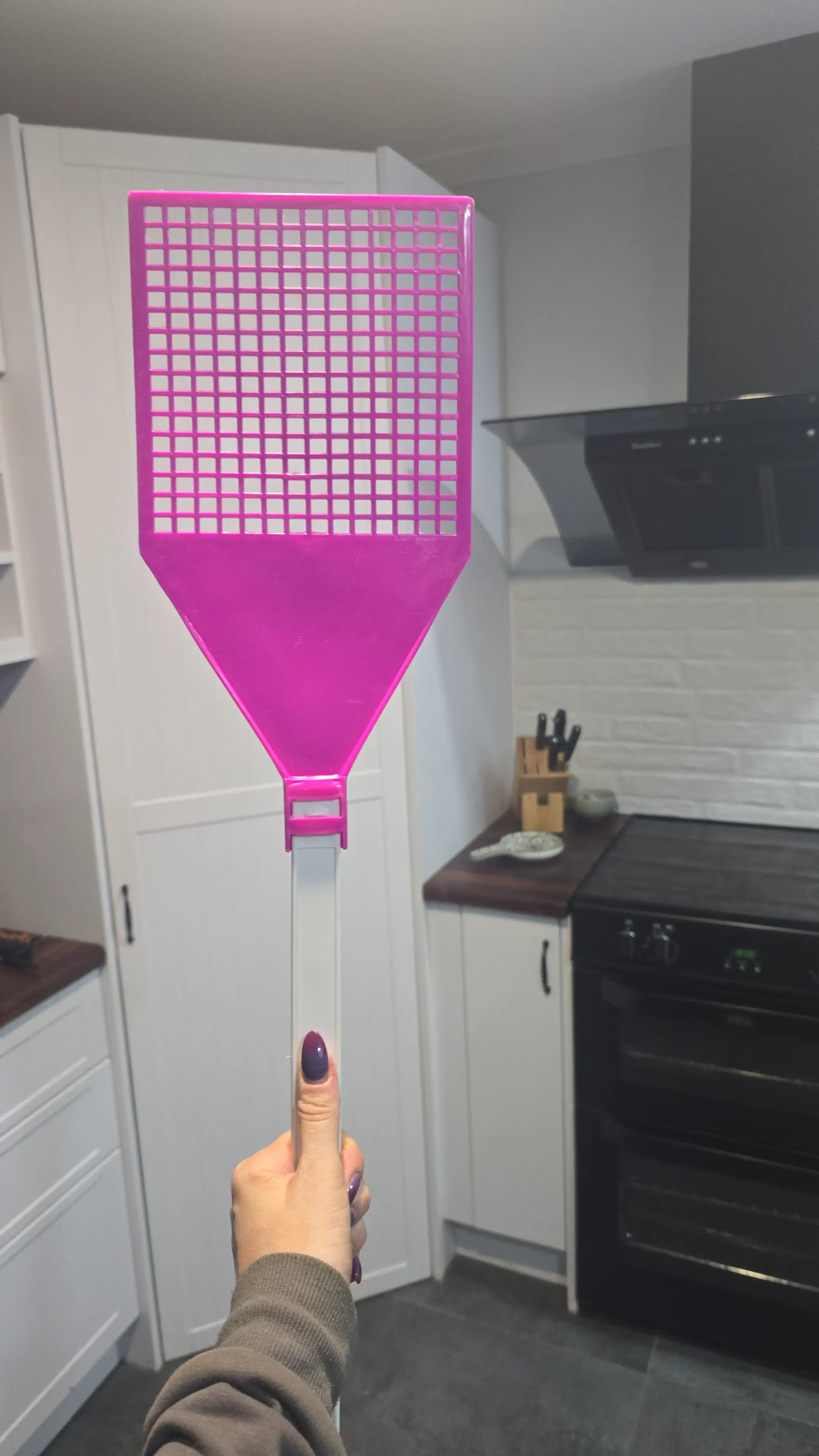 12 Over-The-Top Absolute Units That Will Take Your Breath Away! đ 20 Absolute Units of a fly swat