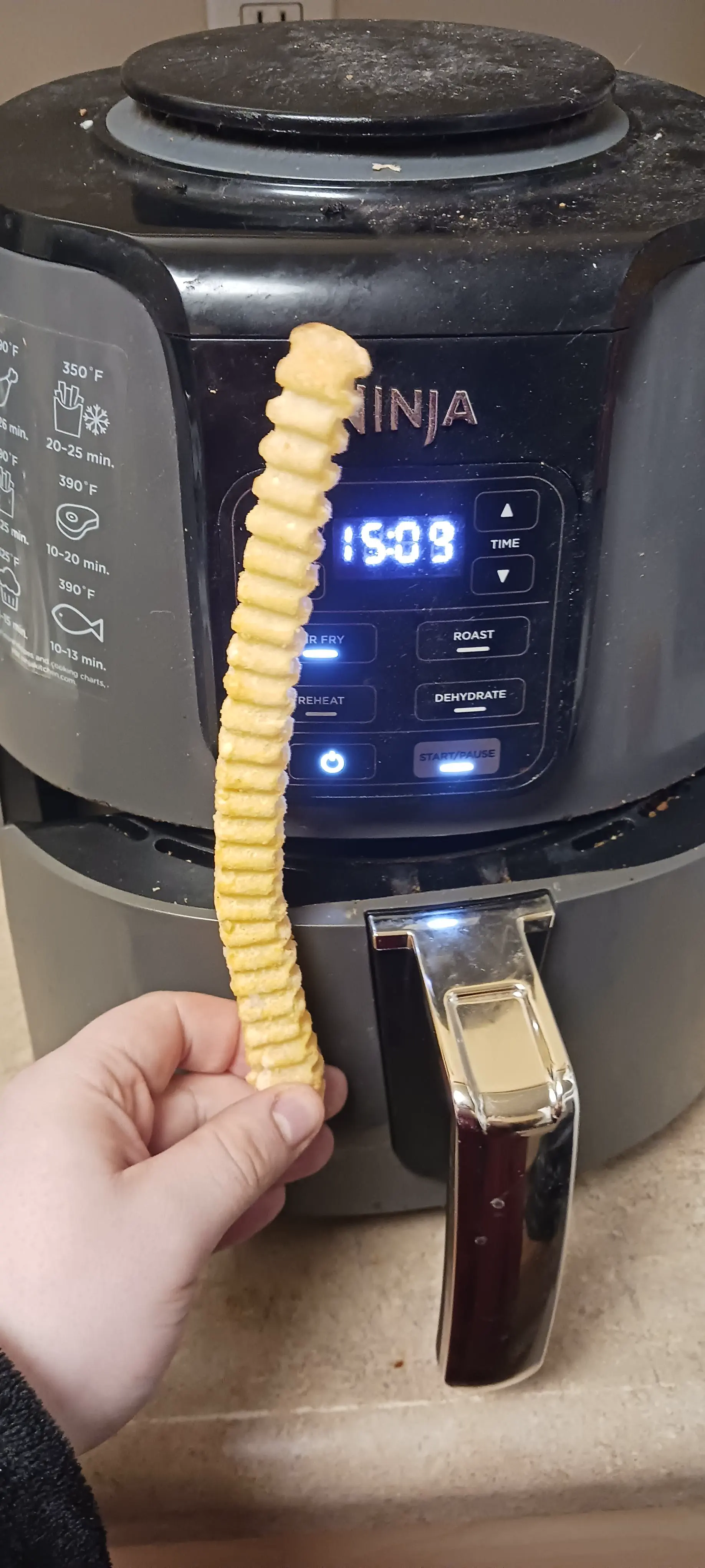 18 Enormous Oddities You Won't Believe Exist! đŠ 23 Absolute Units of a French fry