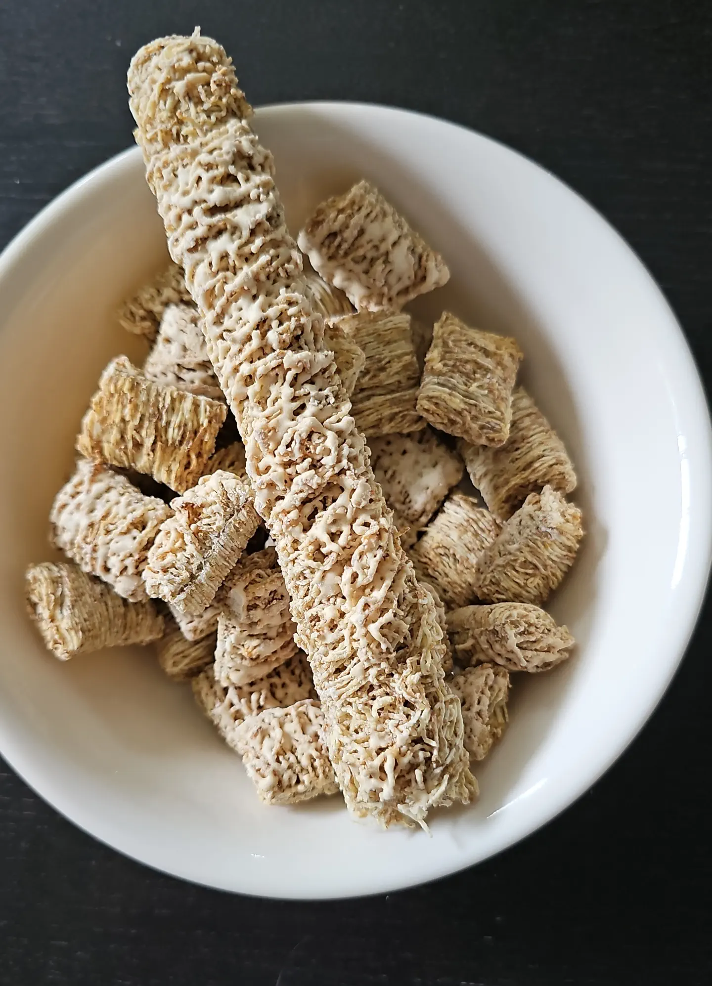 10 Massive Creatures That Will Leave You Awestruck! đđŸ 17 Absolute Units of a frosted mini wheat
