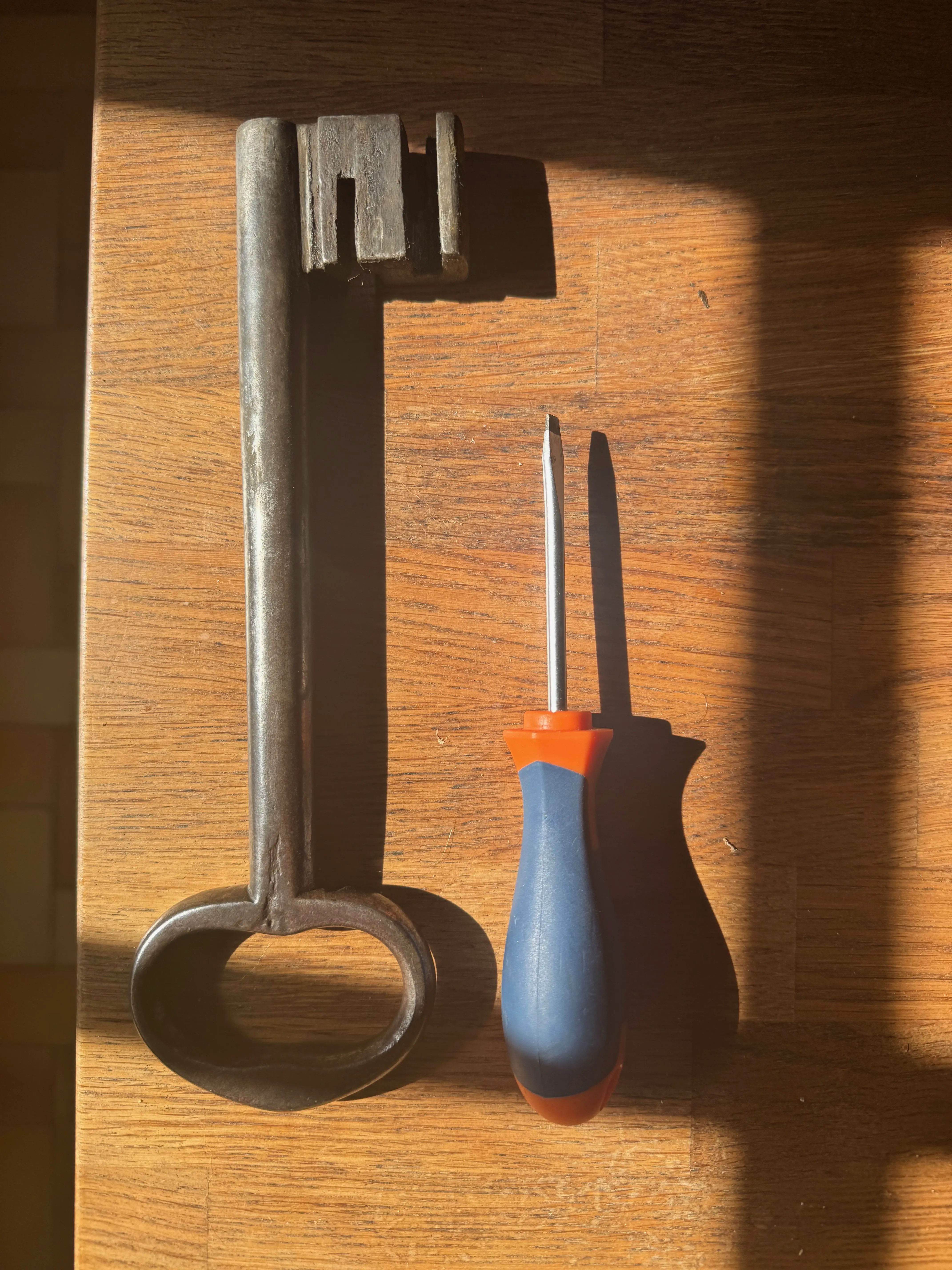 20 Mind-Blowing Behemoths That Redefine Huge! 🦀🦐 27 Absolute Units of a garden shed key