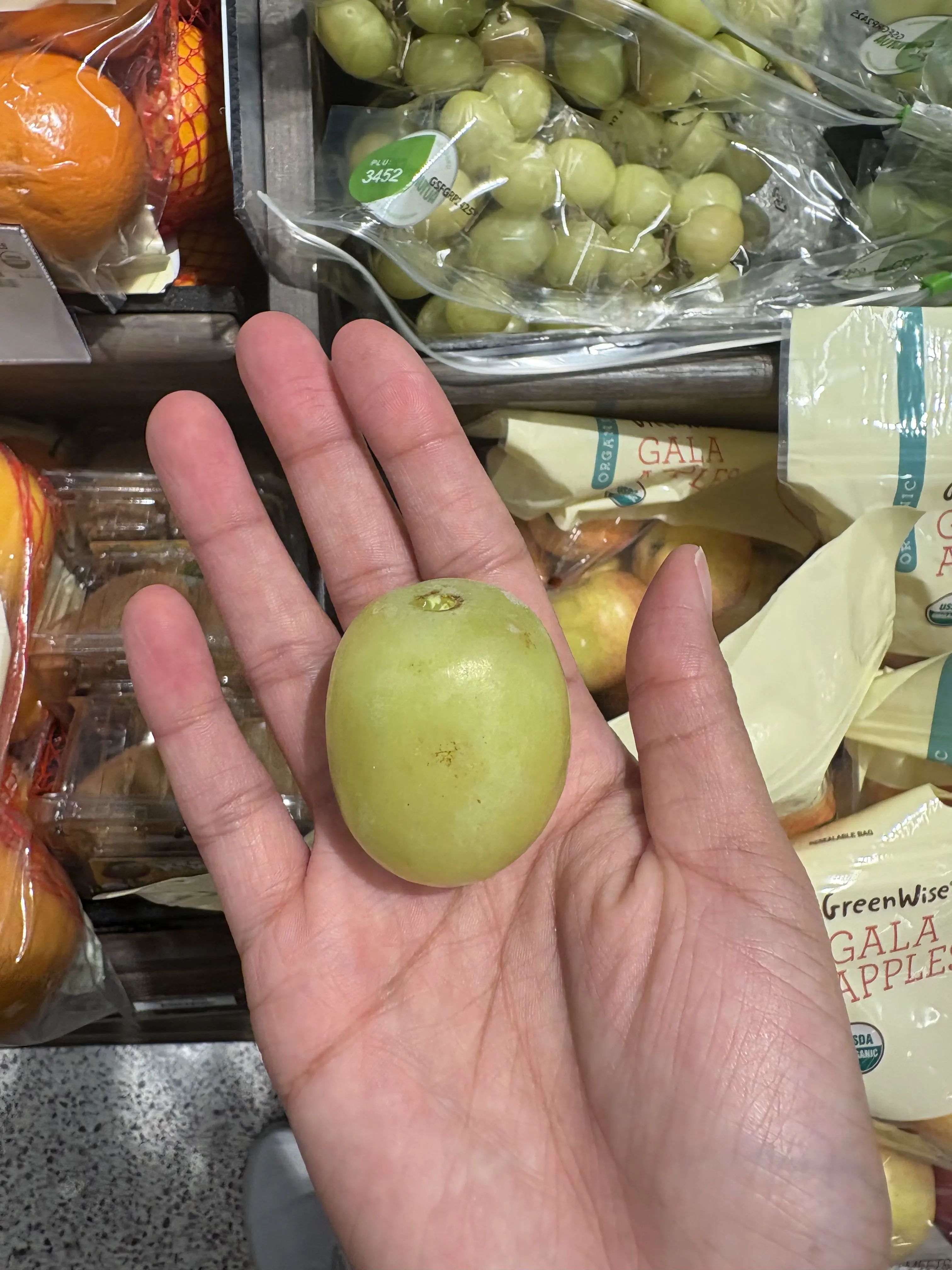 16 Hilariously Massive Oddities That Defy Belief! 🐾🤯 25 Absolute Units of a grape