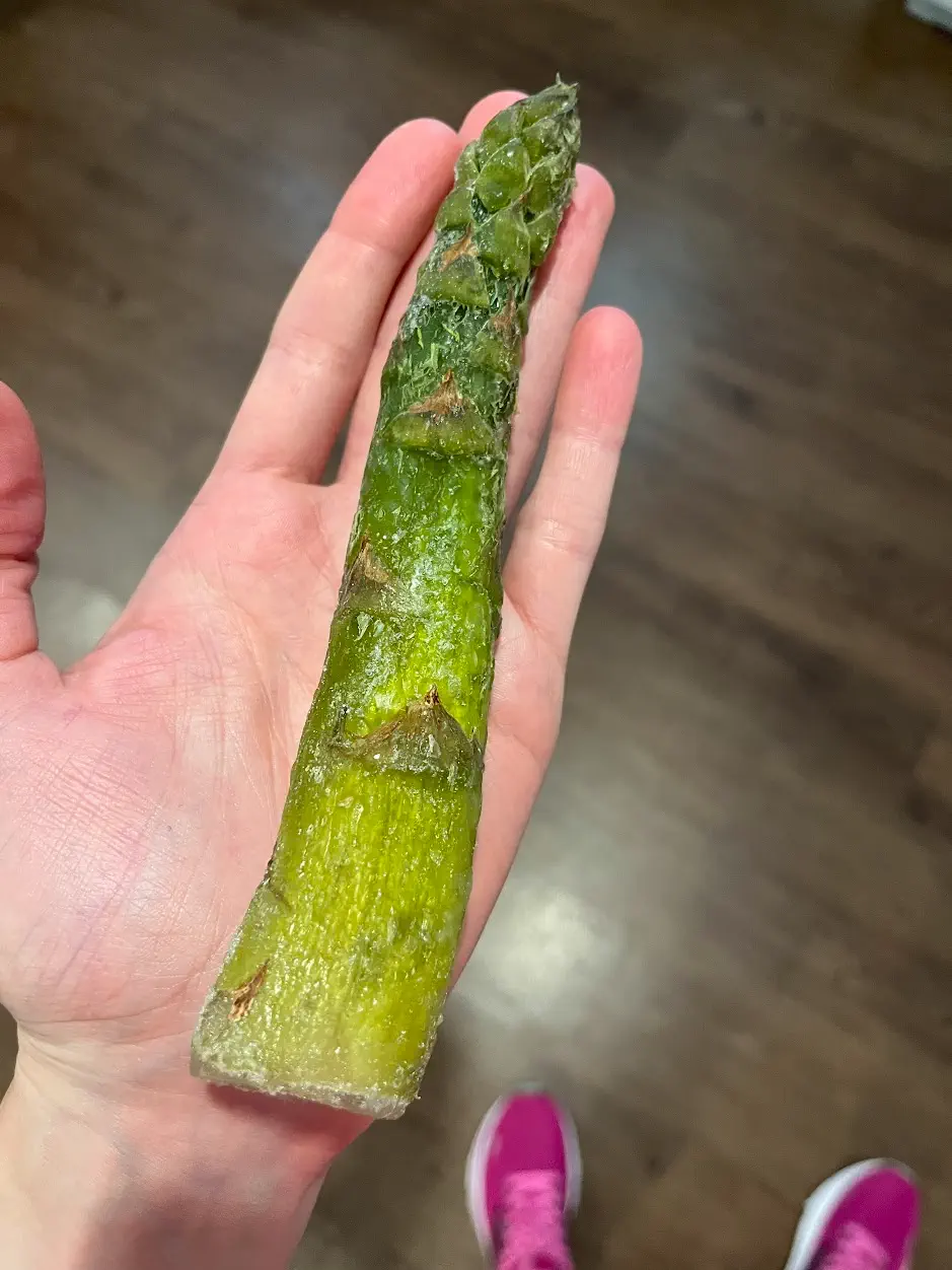 18 Enormous Oddities You Won't Believe Exist! đŠ 30 Absolute Units of a honkin' chonker asparaboi