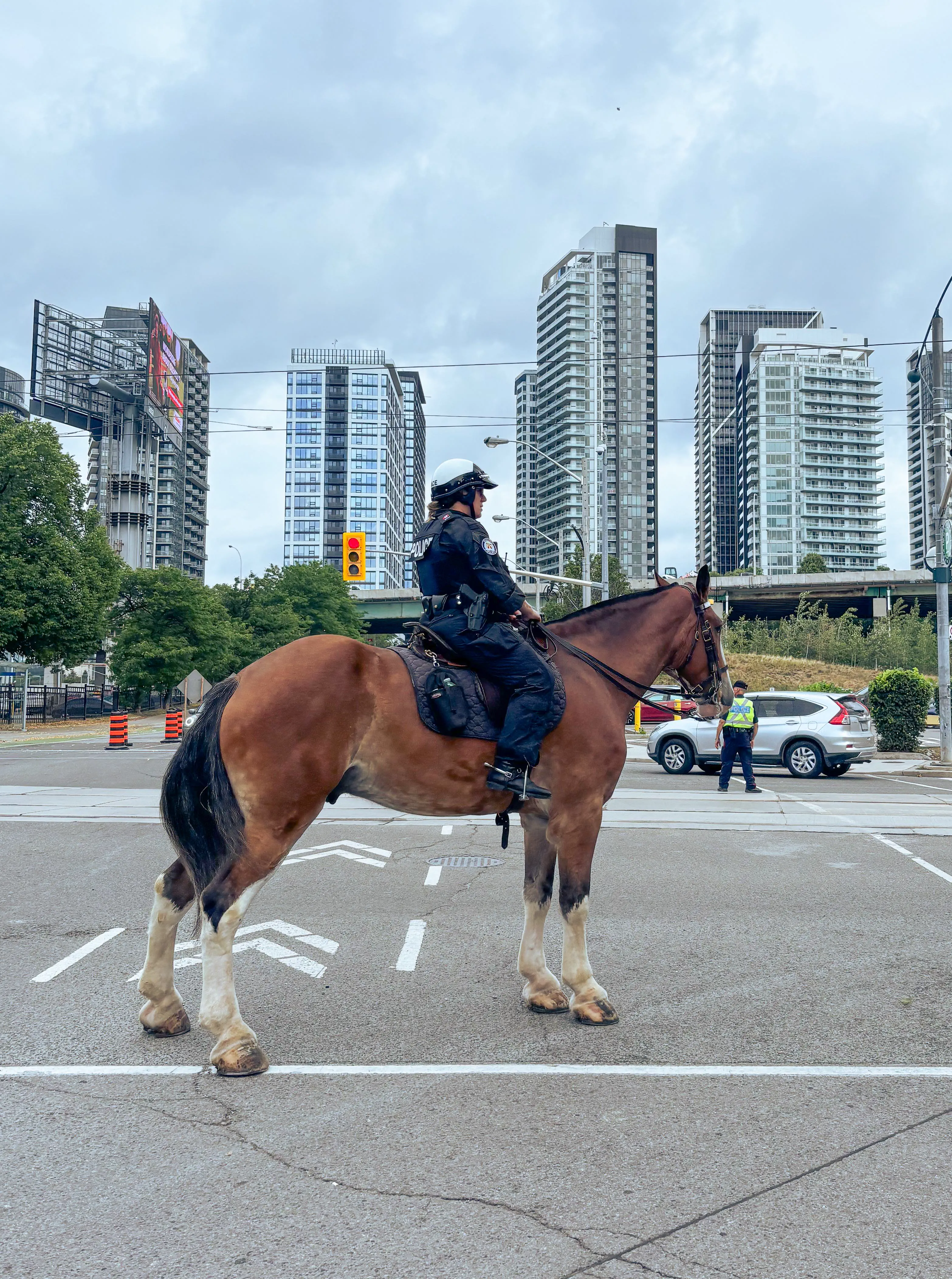 13 Extraordinary Absolute Units That Will Startle You! 🐾 17 Absolute Units of a horse with Toronto Police Mounted Unit
