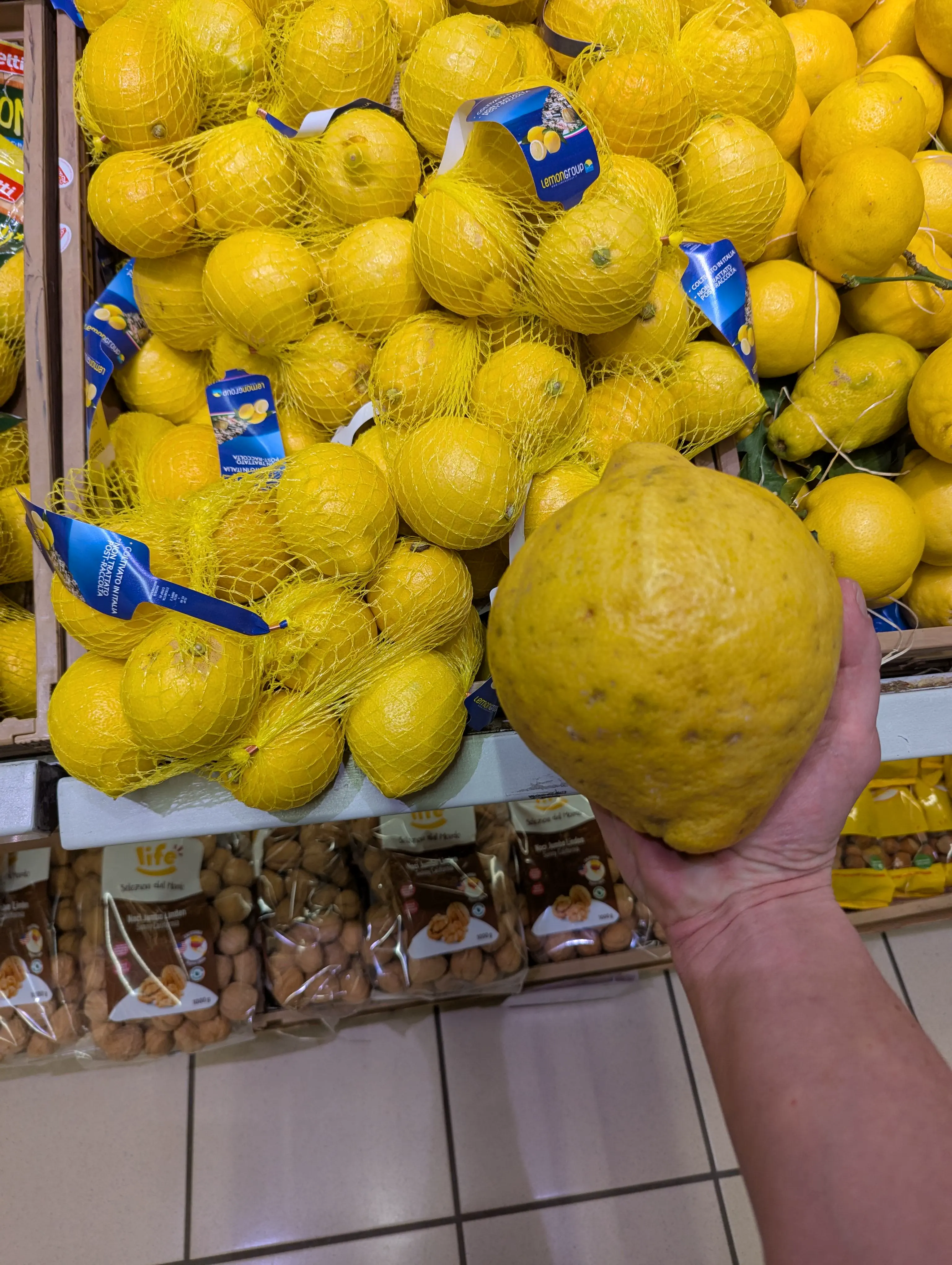 19 Absolutely Massive Oddities You Can't Miss! âĄđ» 33 Absolute Units of a lemon