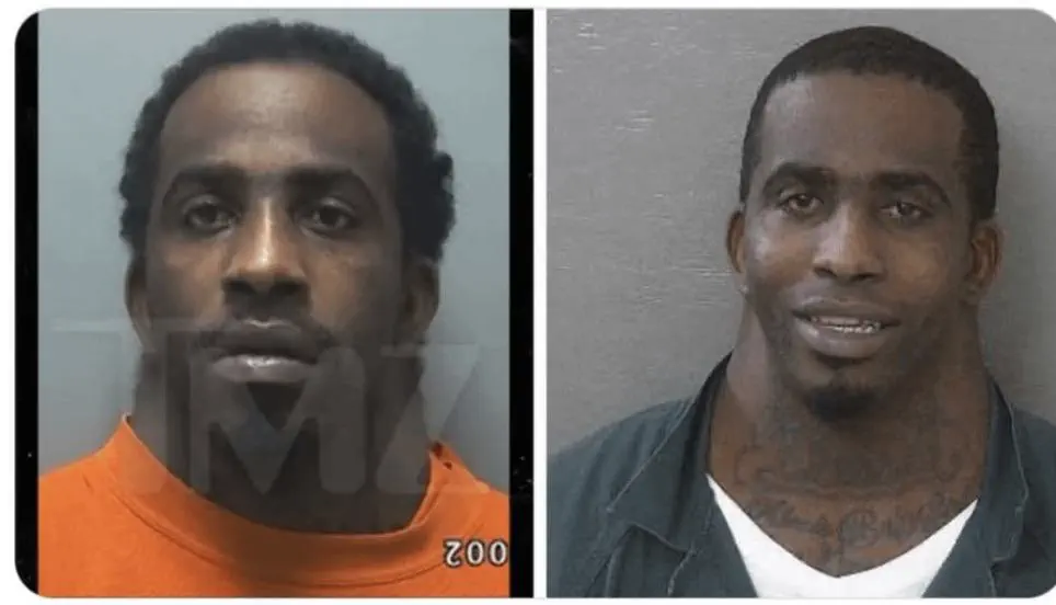 17 Remarkable Behemoths That Will Change How You See Size! 🦁 22 Absolute Units of a neck