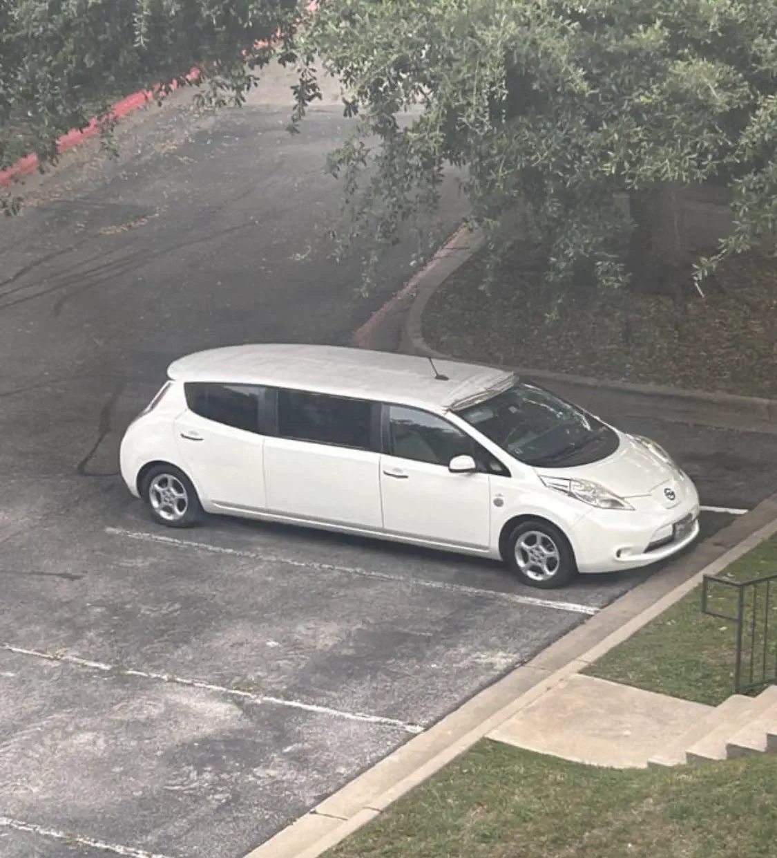 12 Giant Beasts that Redefine Size Expectations! 🦁 24 Absolute Units of a Nissan Leaf