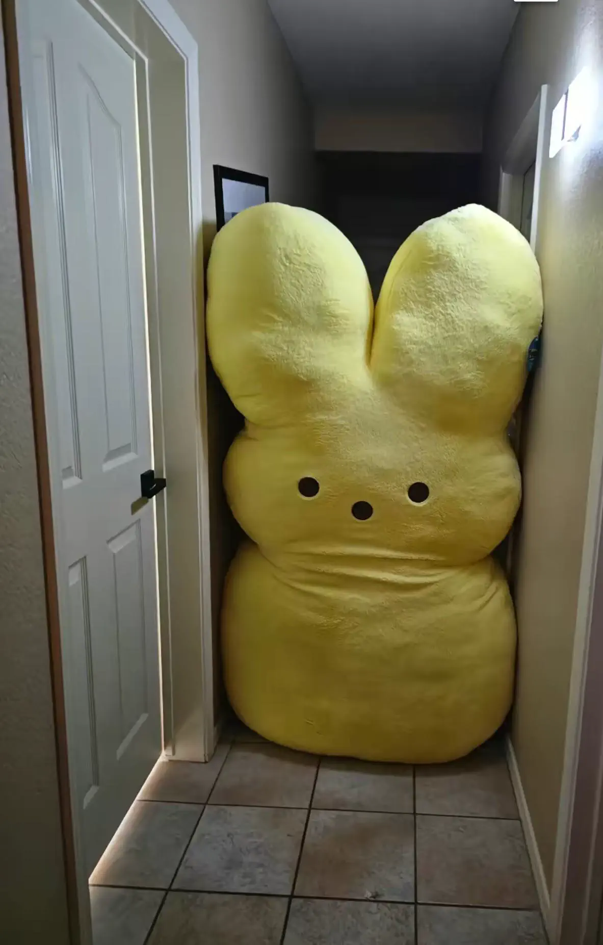 17 Remarkable Behemoths That Will Change How You See Size! 🦁 24 Absolute Units of a peep, standard door for size