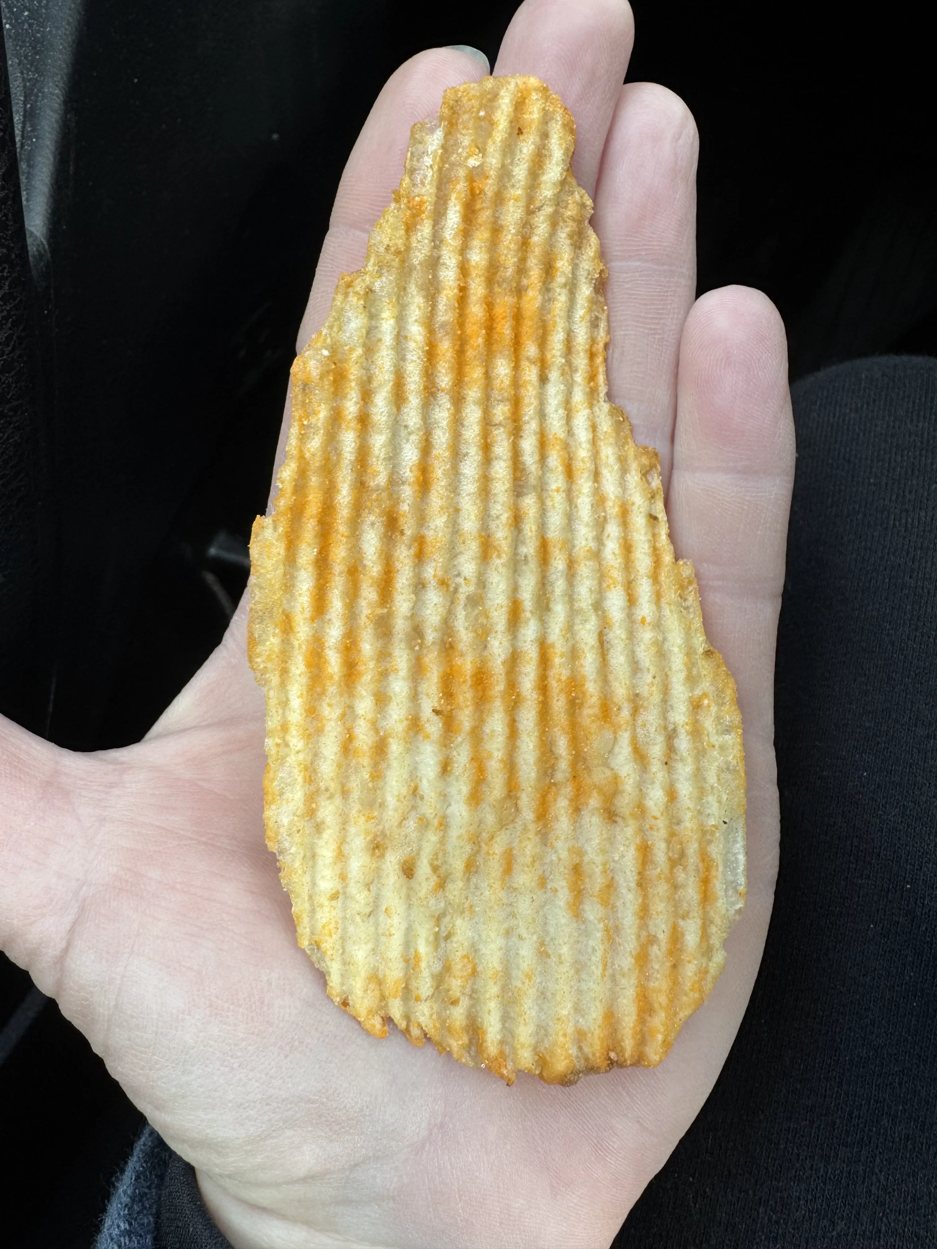 18 Enormous Oddities You Won't Believe Exist! đŠ 39 Absolute Units of a potato chip.