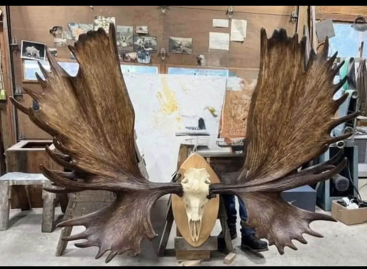 7 Outrageously Large Oddities You Need to See! 🌪️🔥 12 Absolute Units of a rack