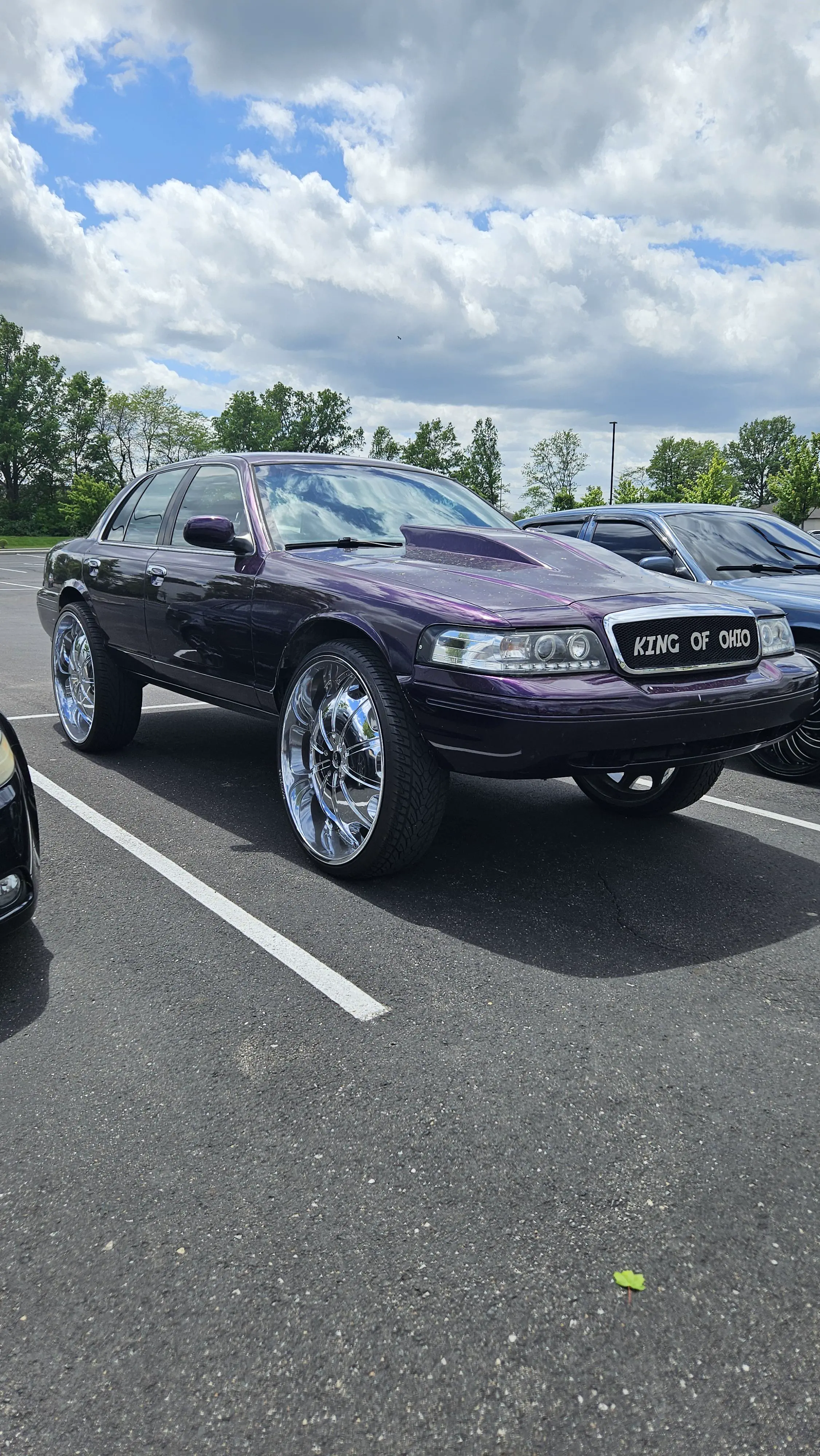 12 Giant Beasts that Redefine Size Expectations! 🦁 18 Absolute Units of a Sedan